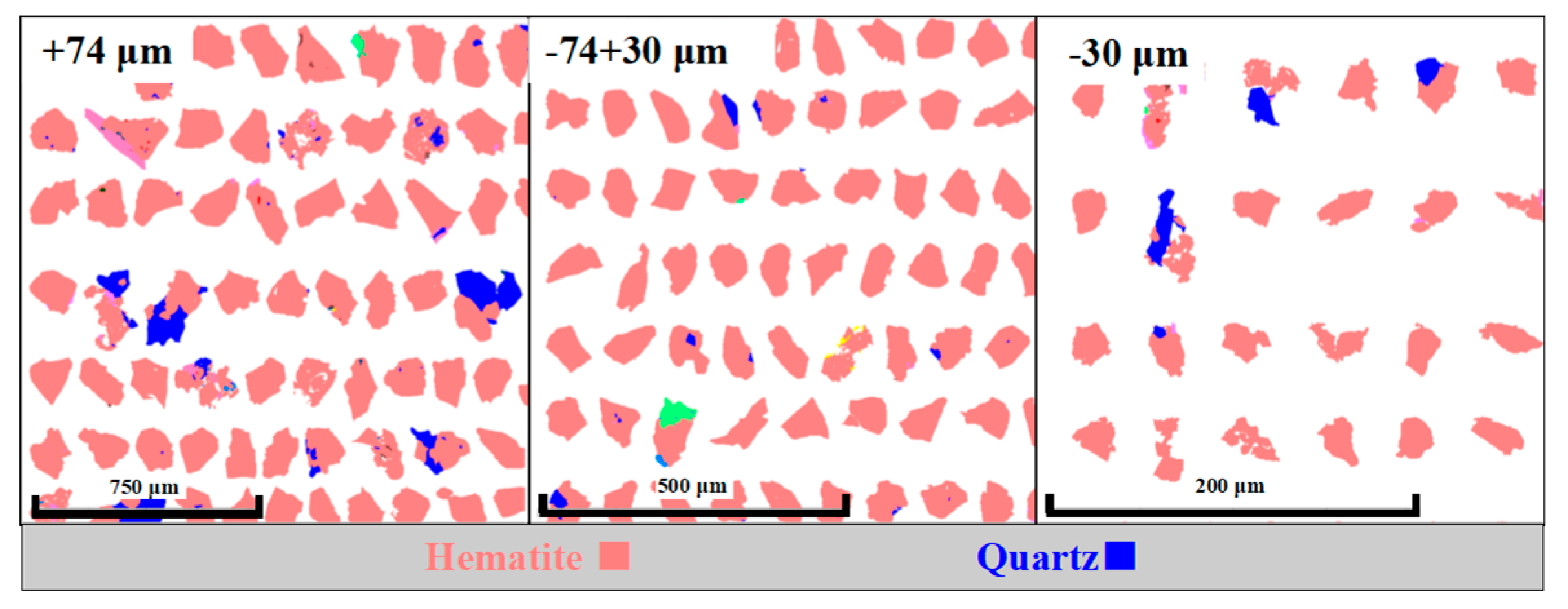 Preprints 76839 g005