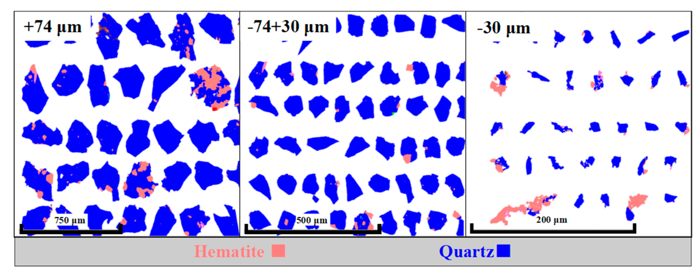 Preprints 76839 g006