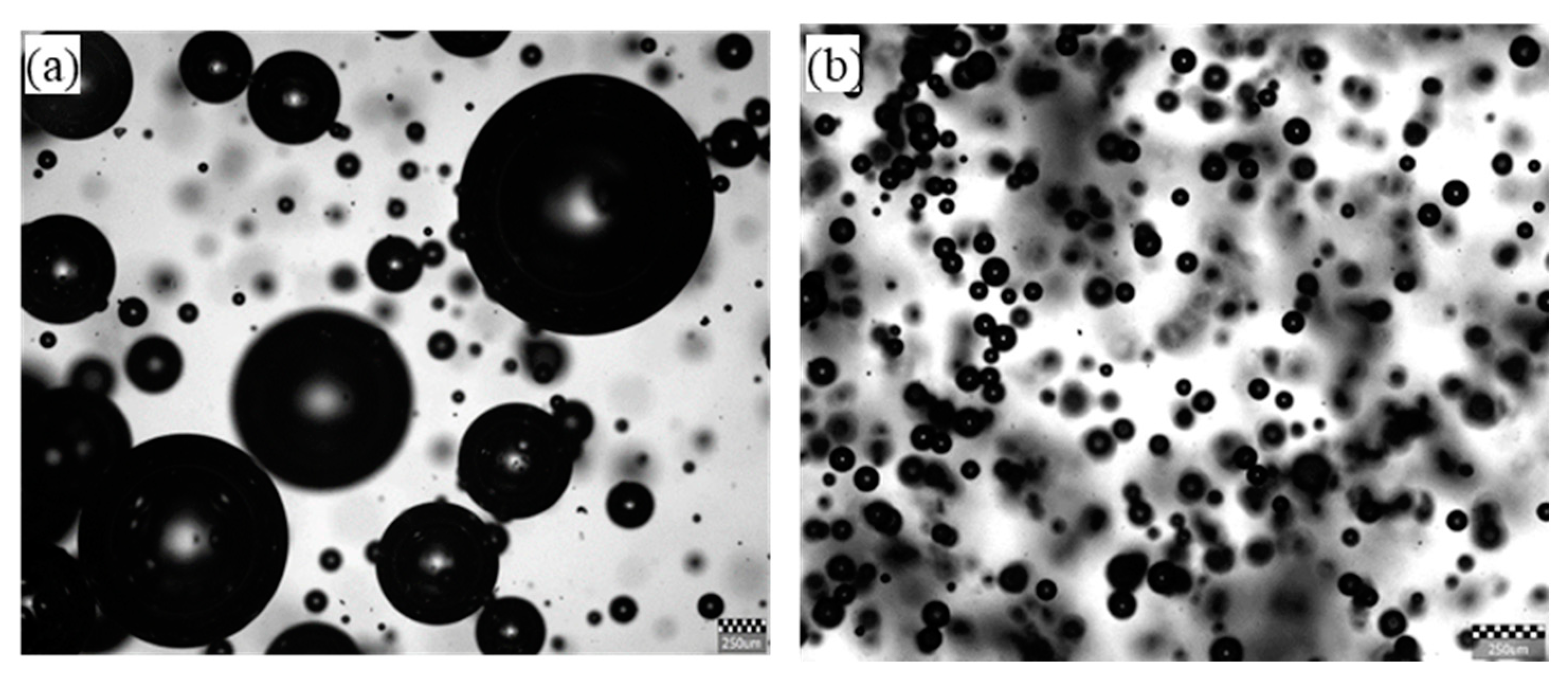 Preprints 76839 g010