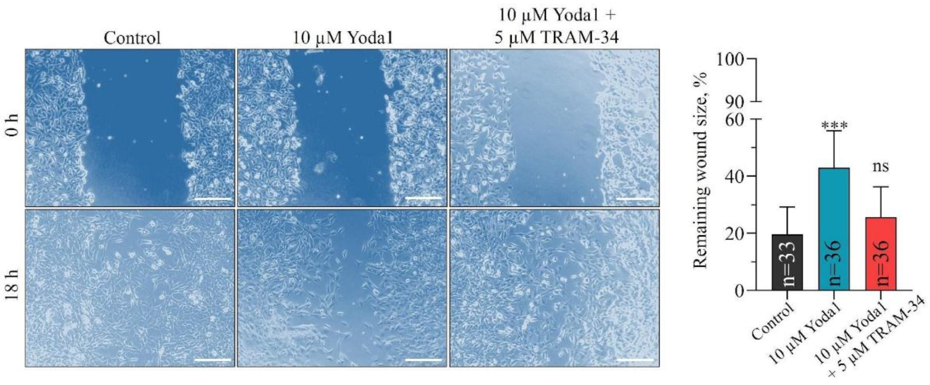 Preprints 194355 g002