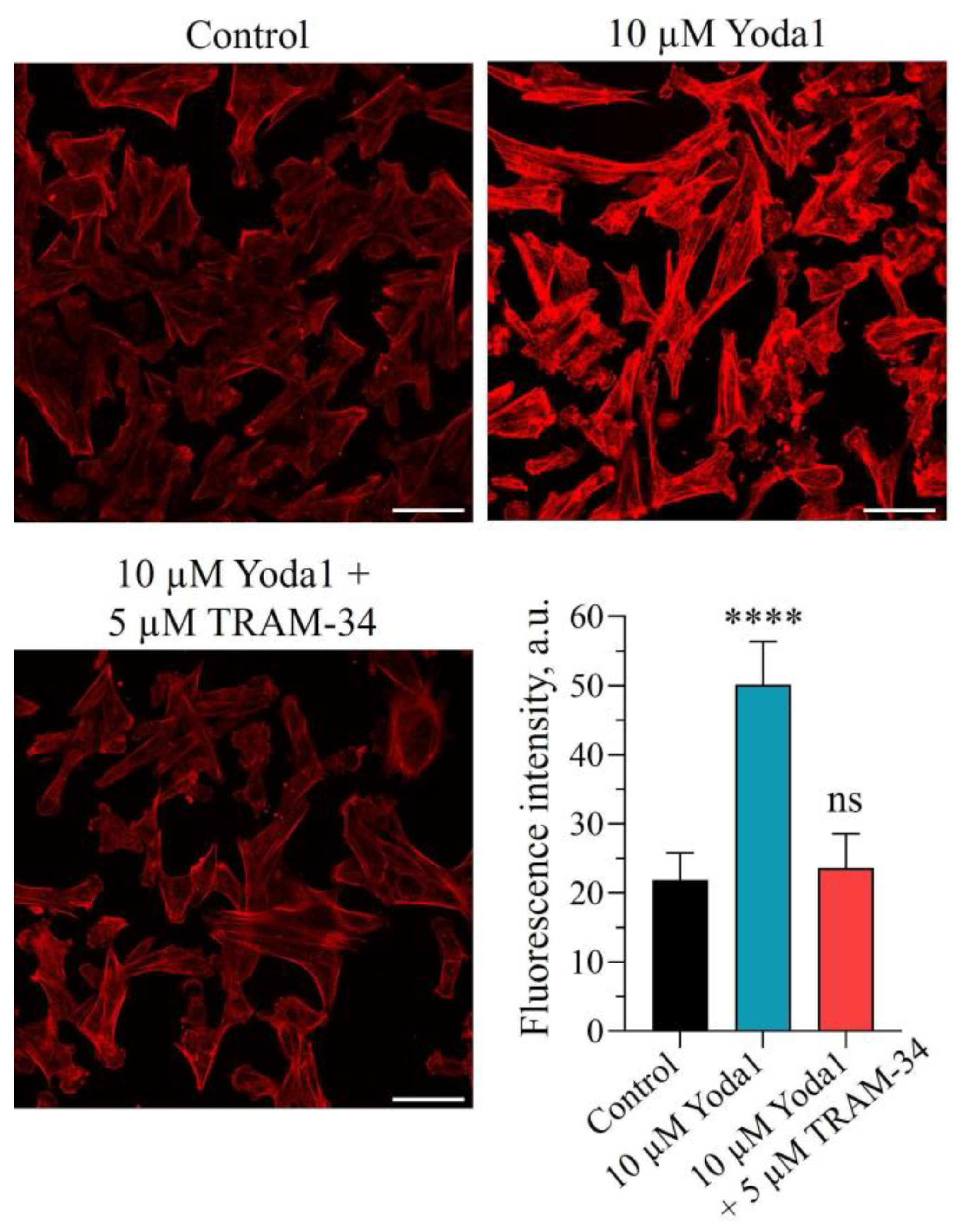 Preprints 194355 g003