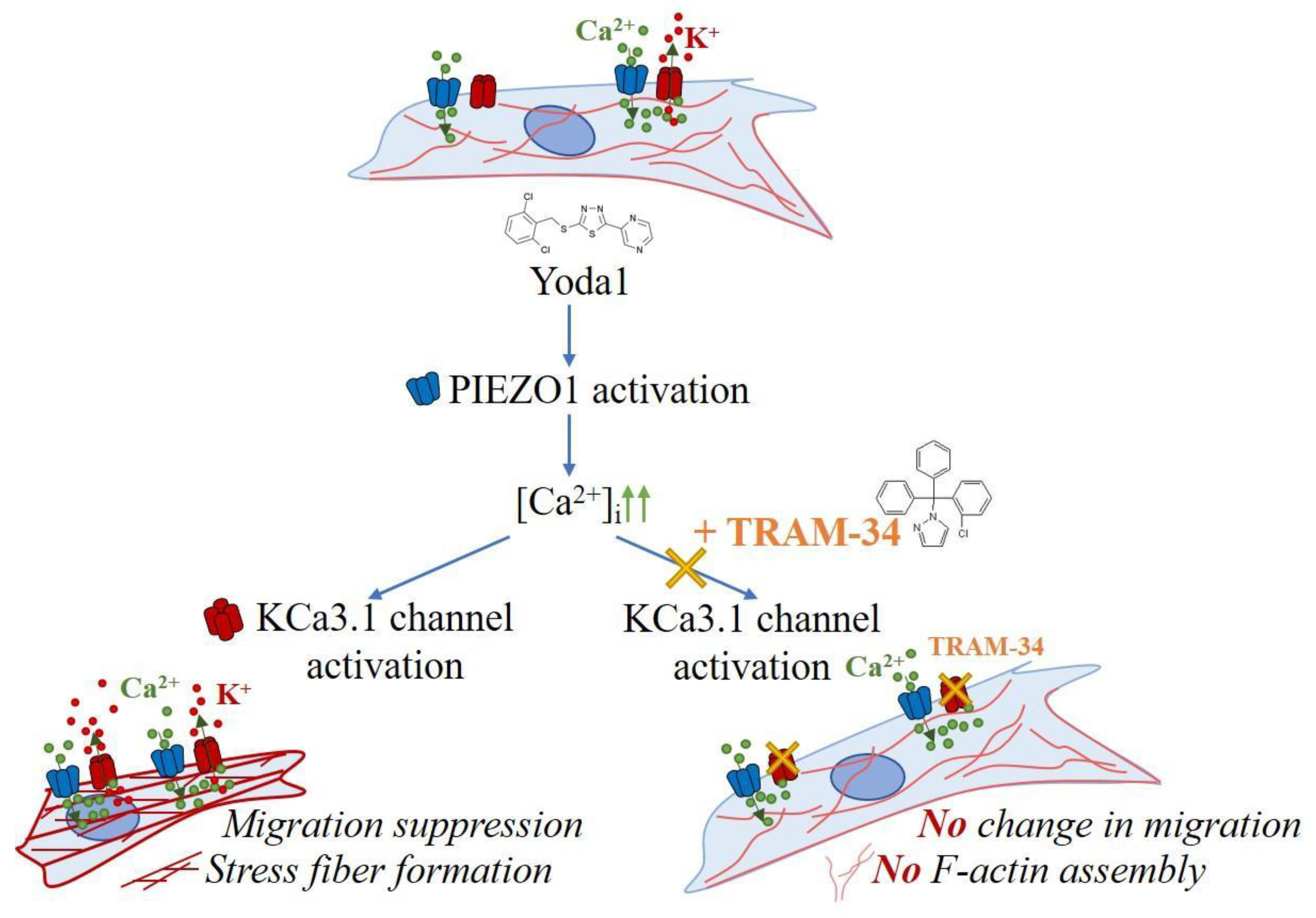 Preprints 194355 g004