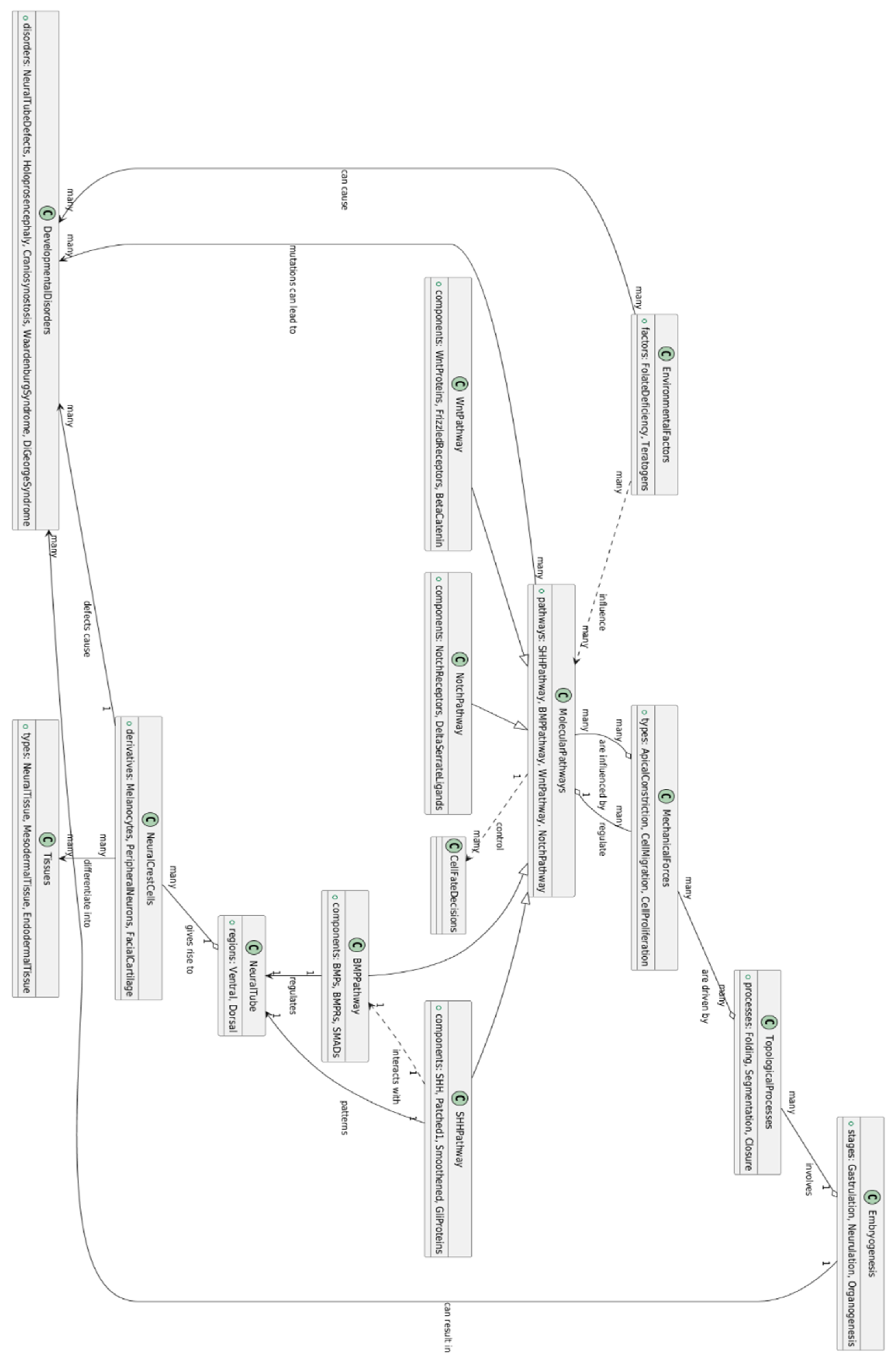 Preprints 140659 g004