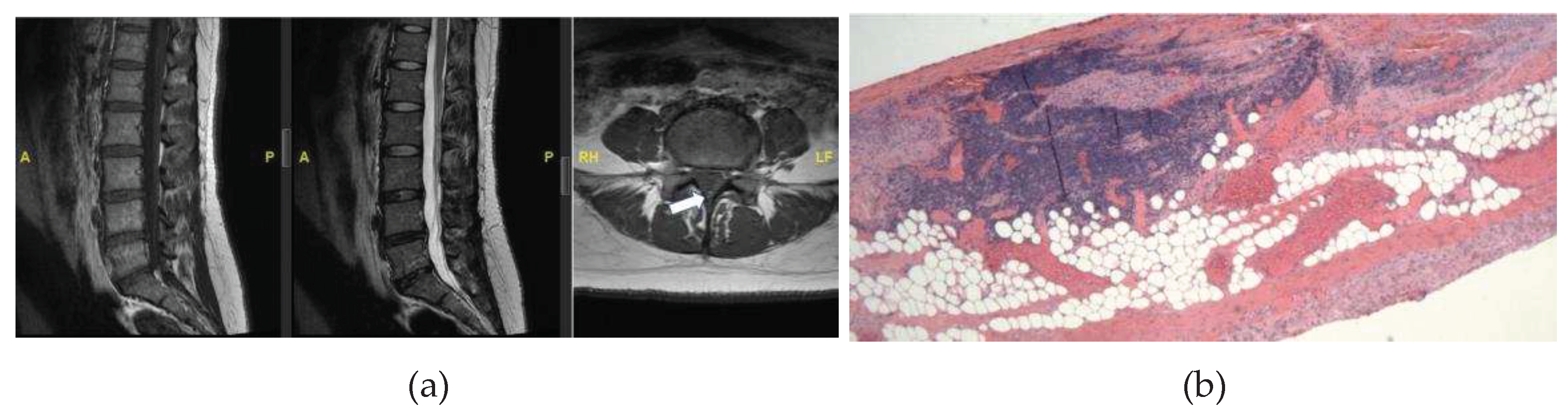 Preprints 93551 g002a