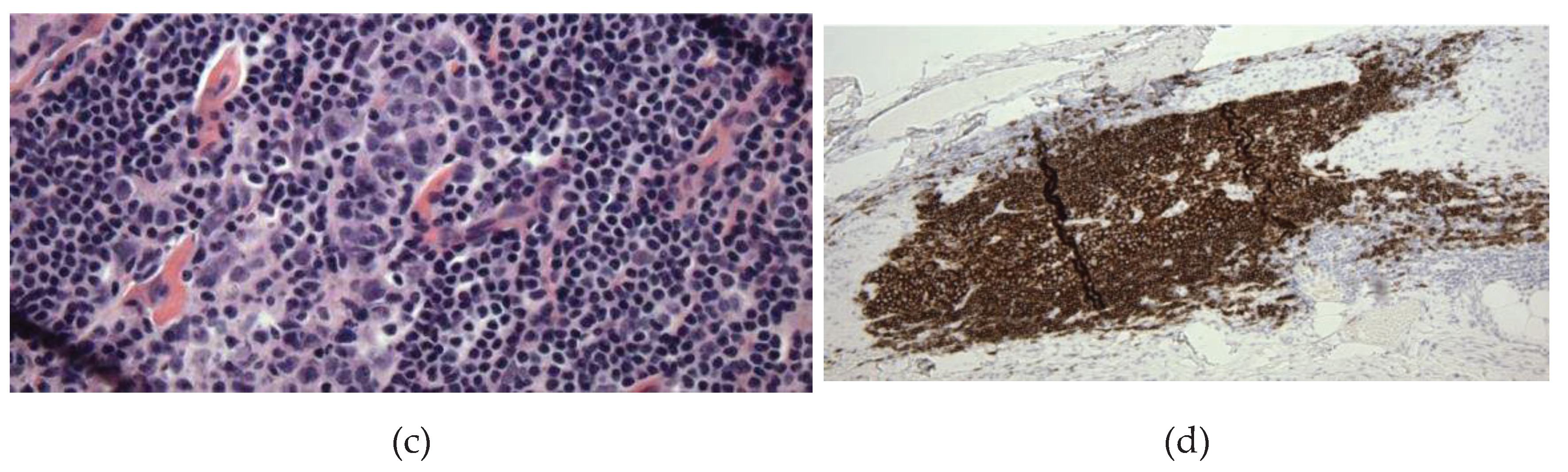 Preprints 93551 g002b