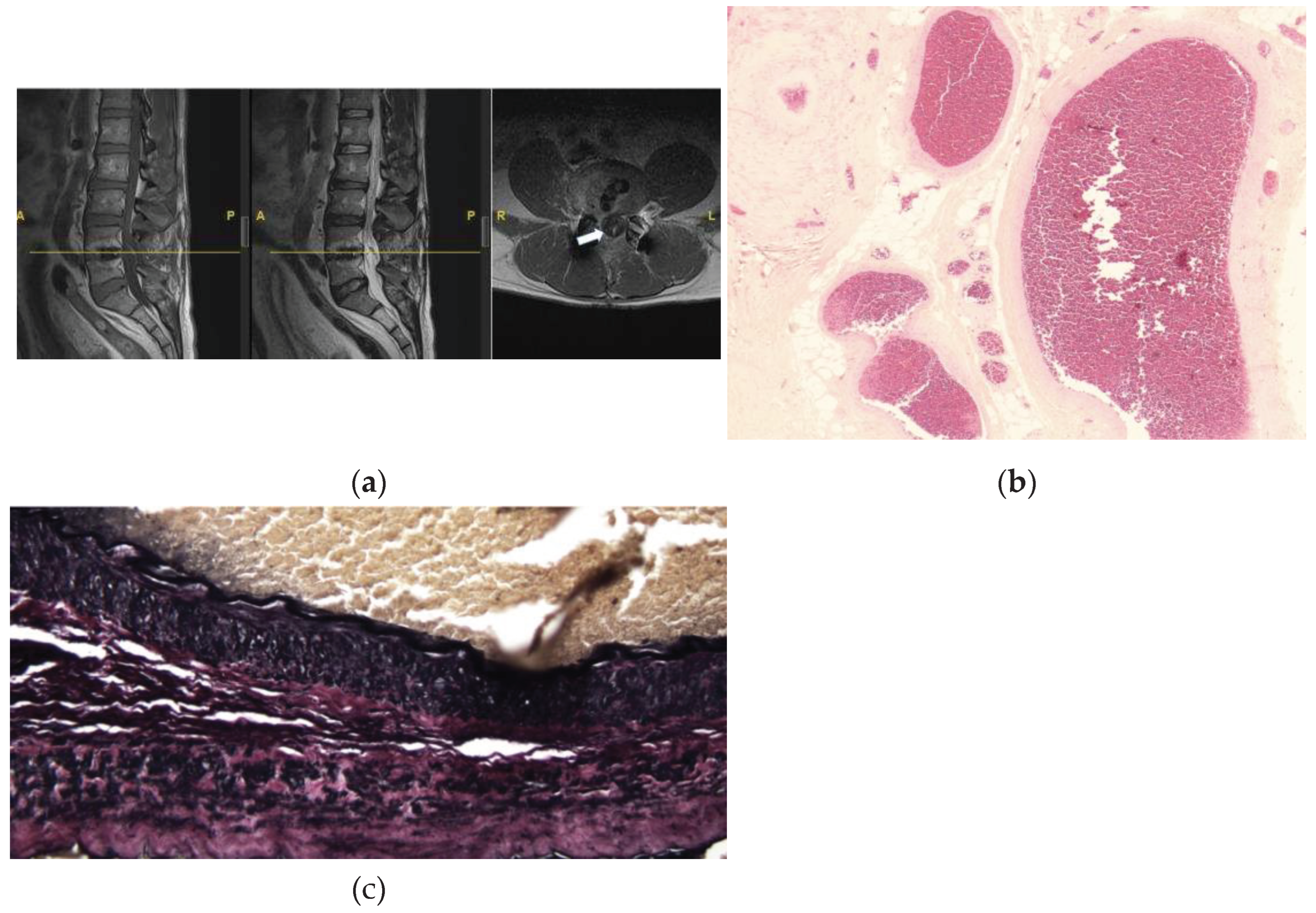 Preprints 93551 g003