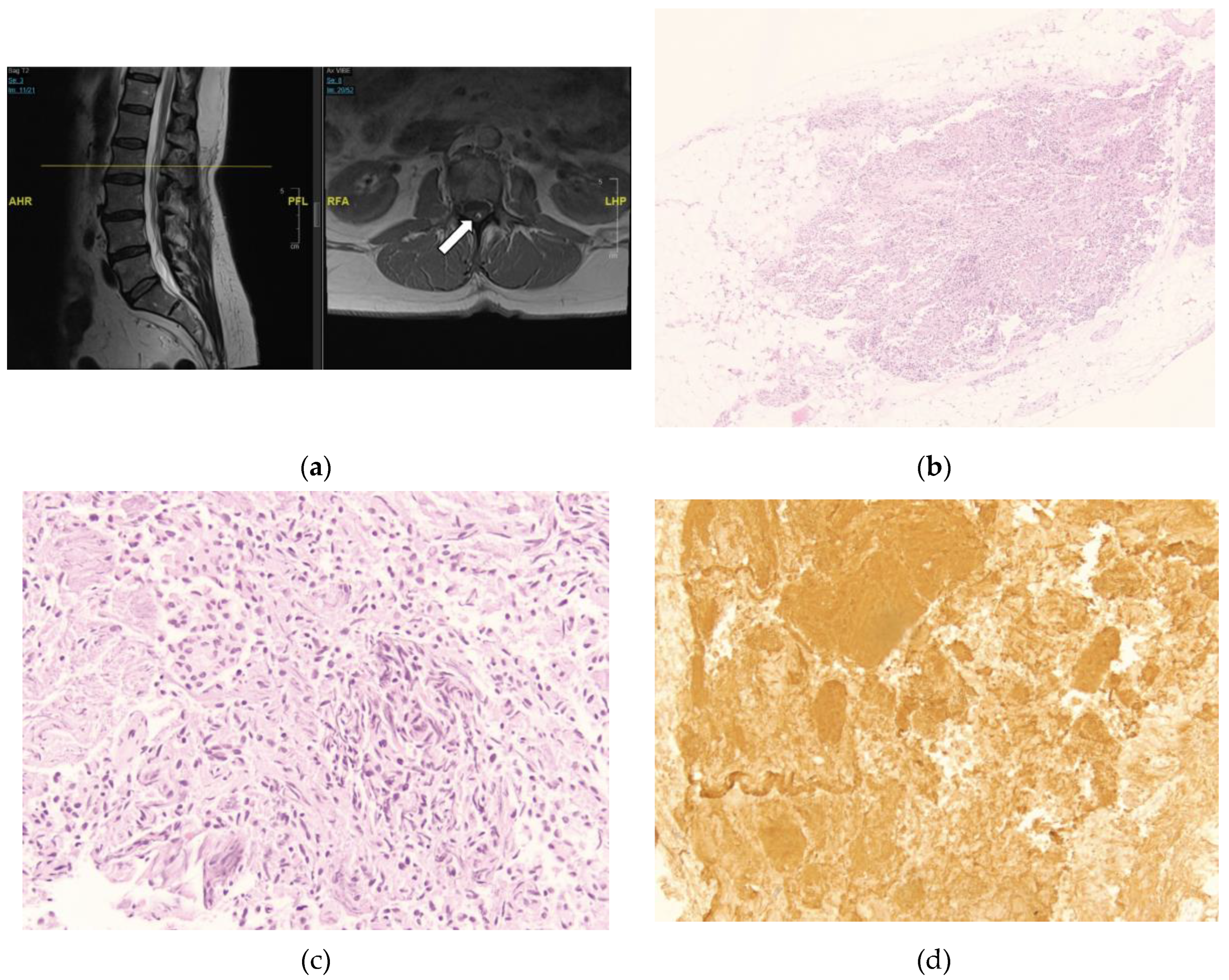 Preprints 93551 g004