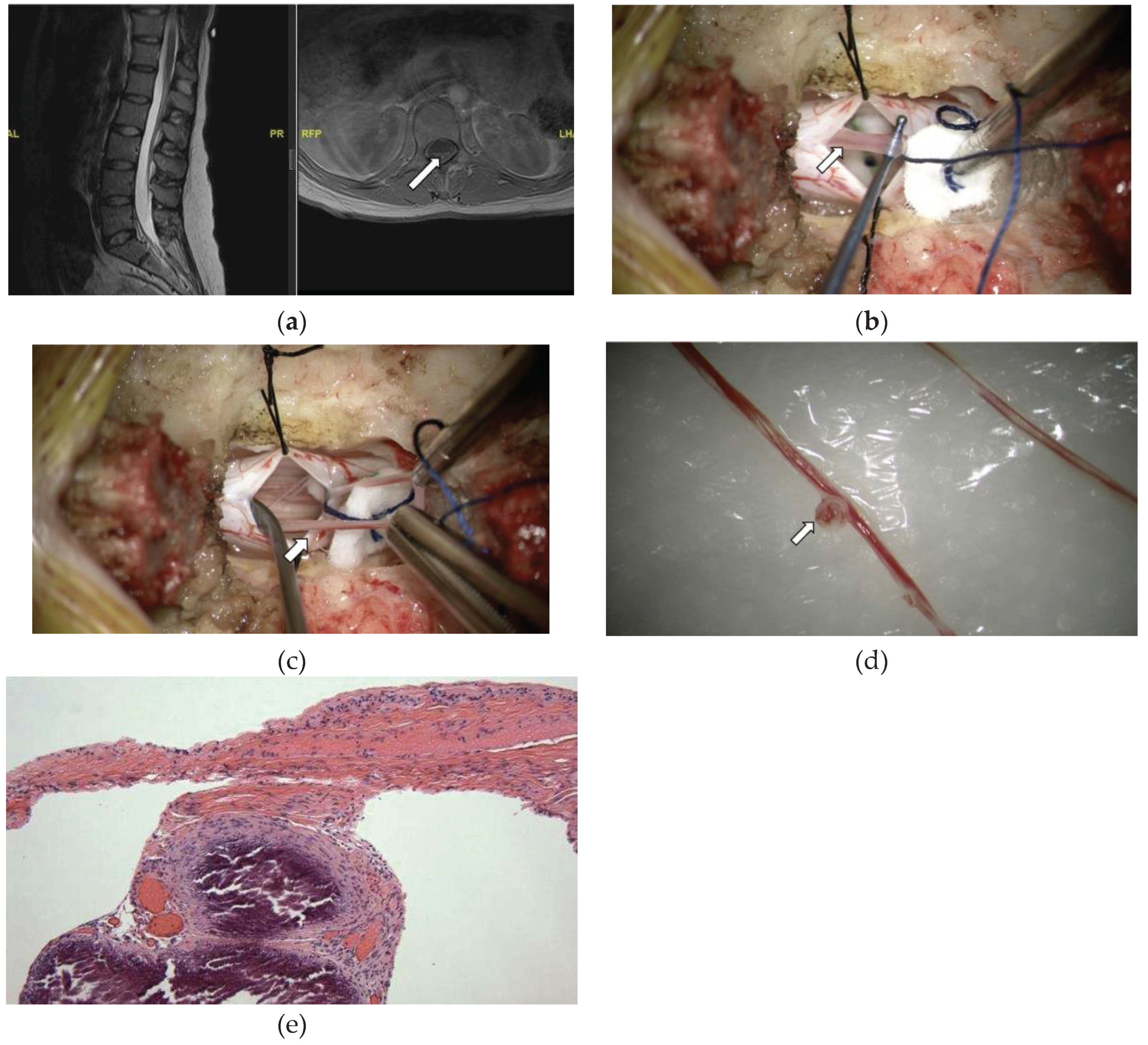 Preprints 93551 g005