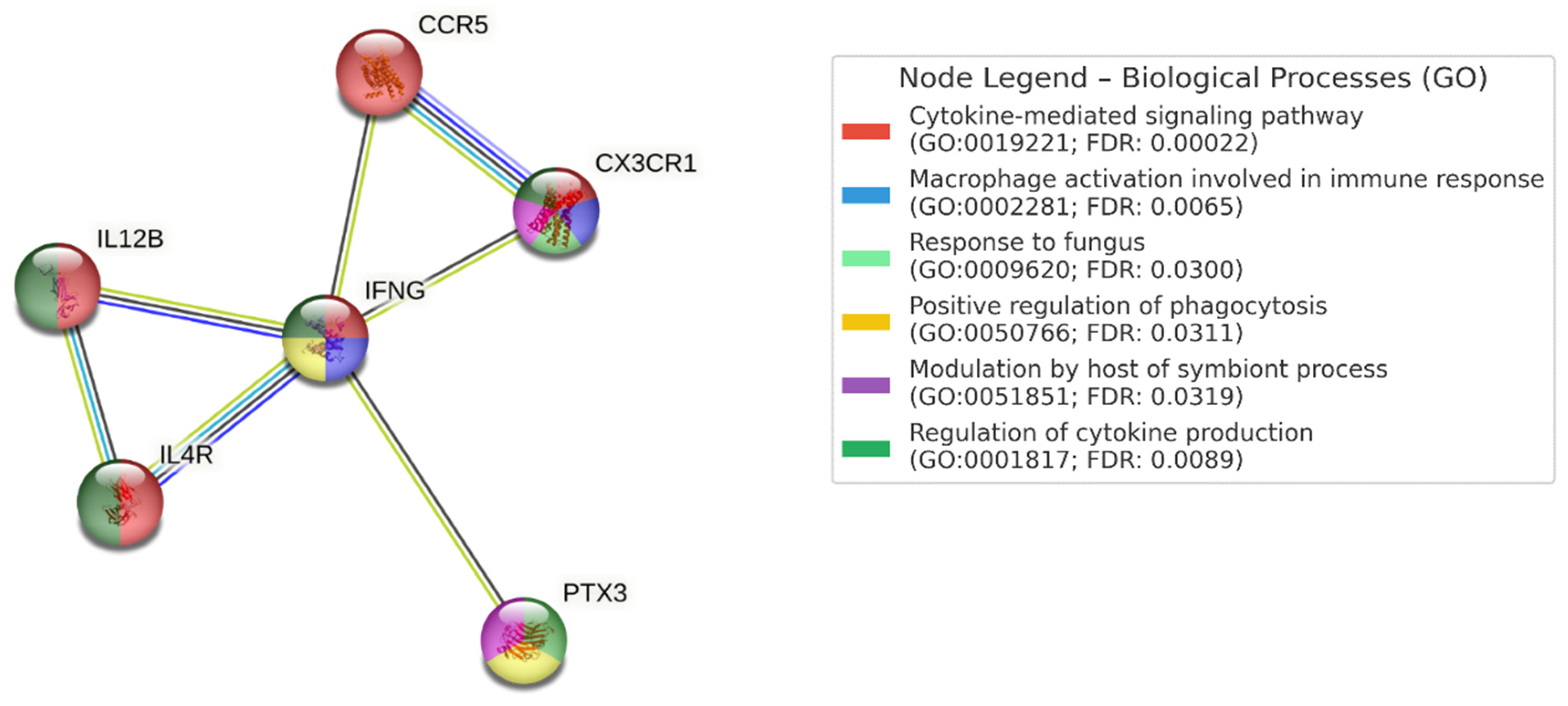 Preprints 156556 g001