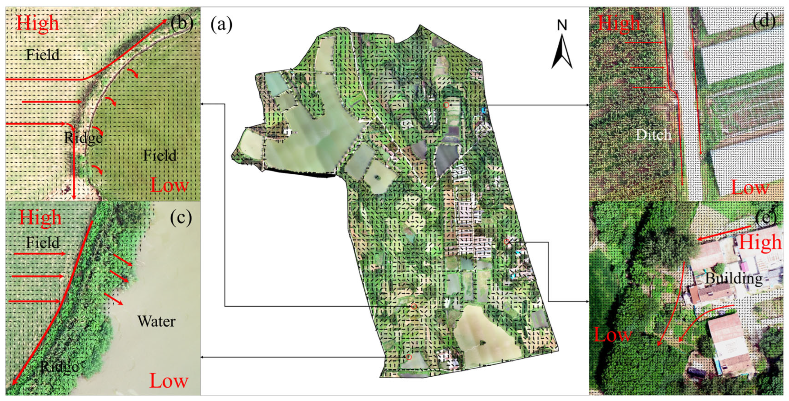 Preprints 199223 g008