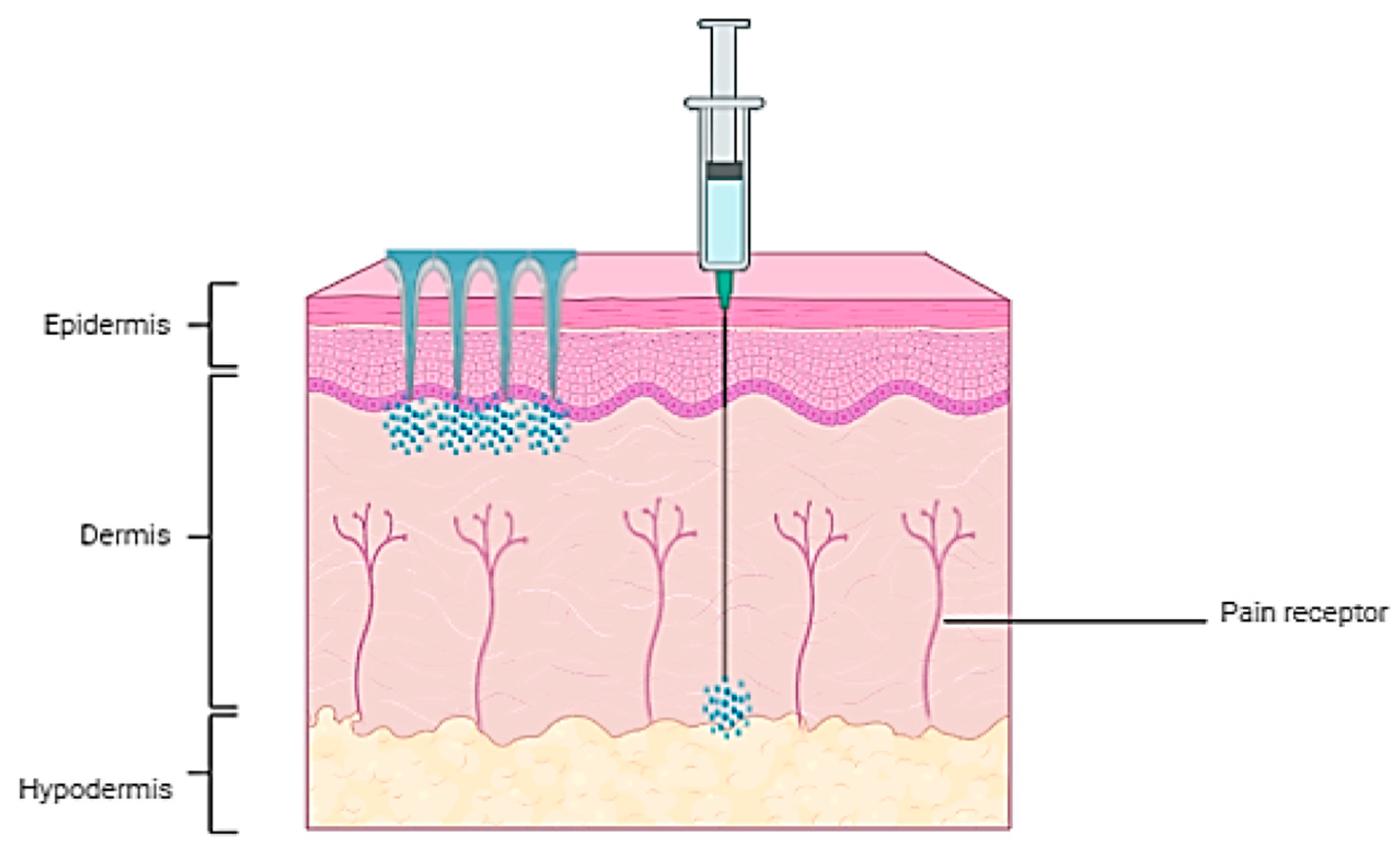 Preprints 183890 g002