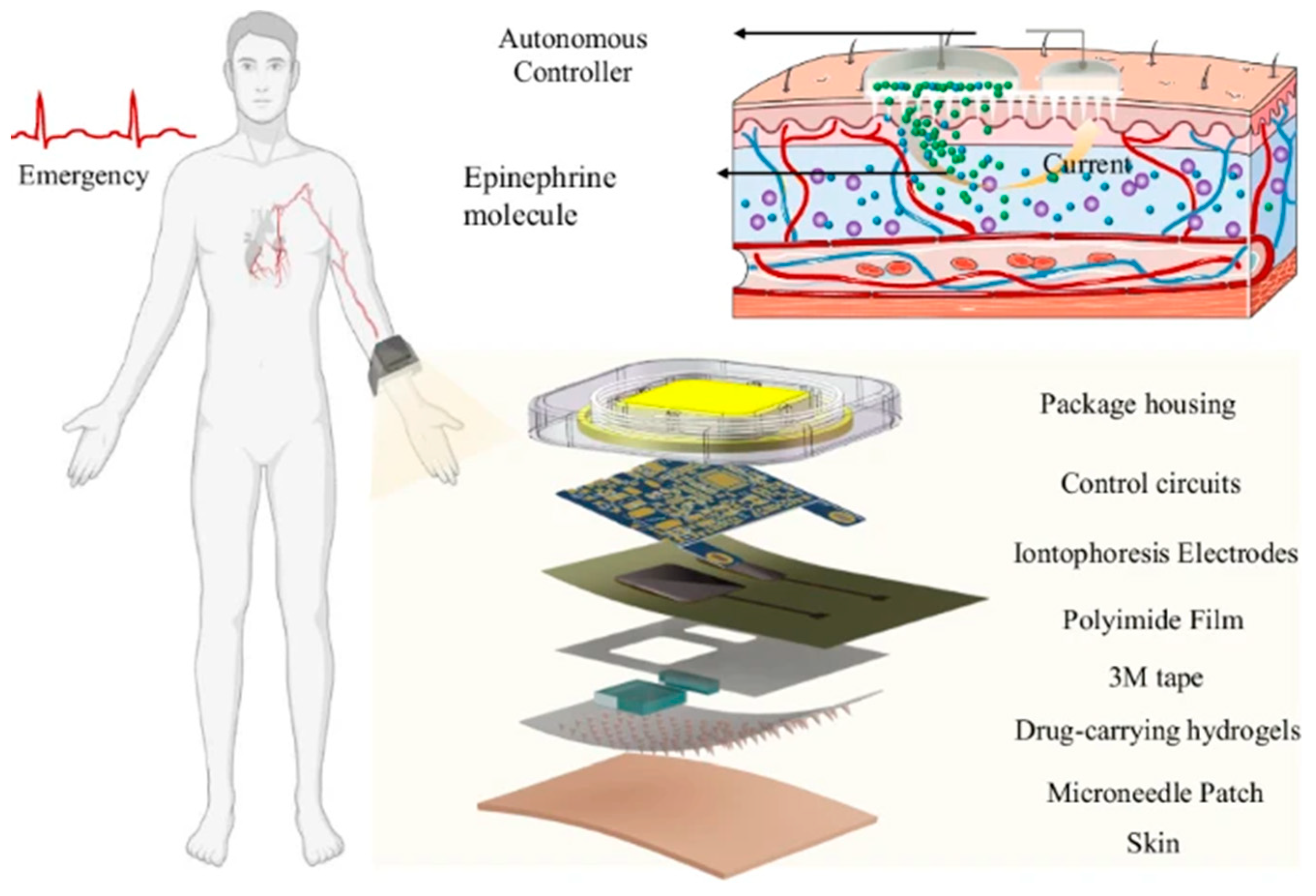 Preprints 183890 g005