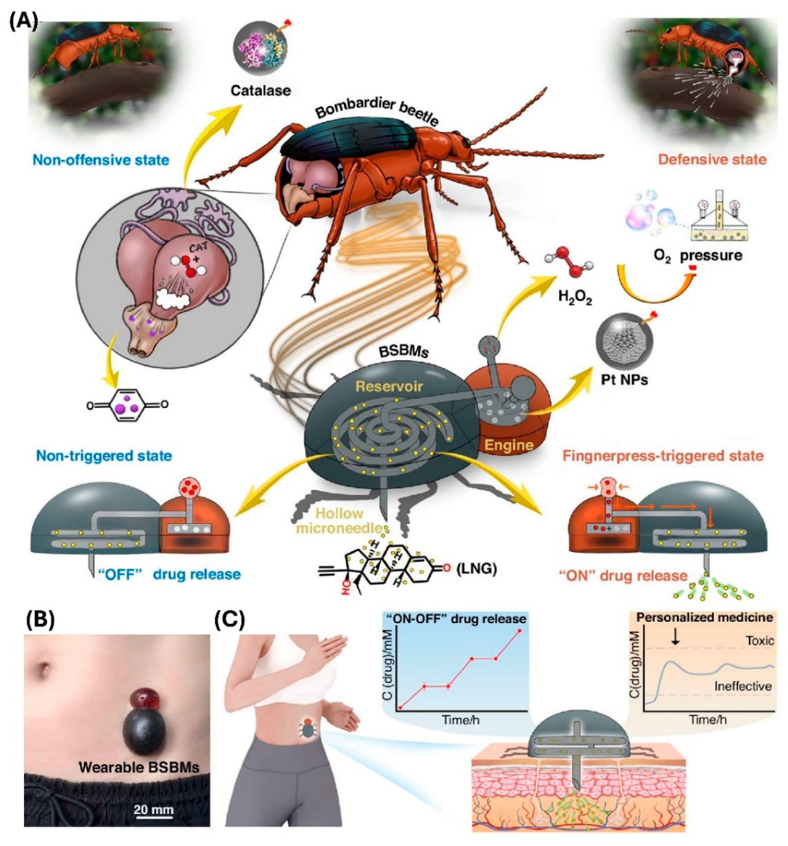 Preprints 183890 g006
