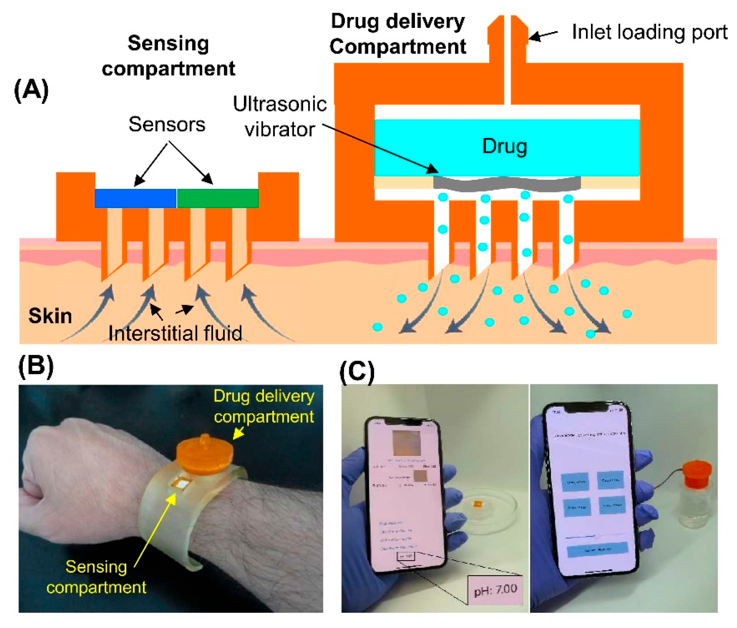 Preprints 183890 g007