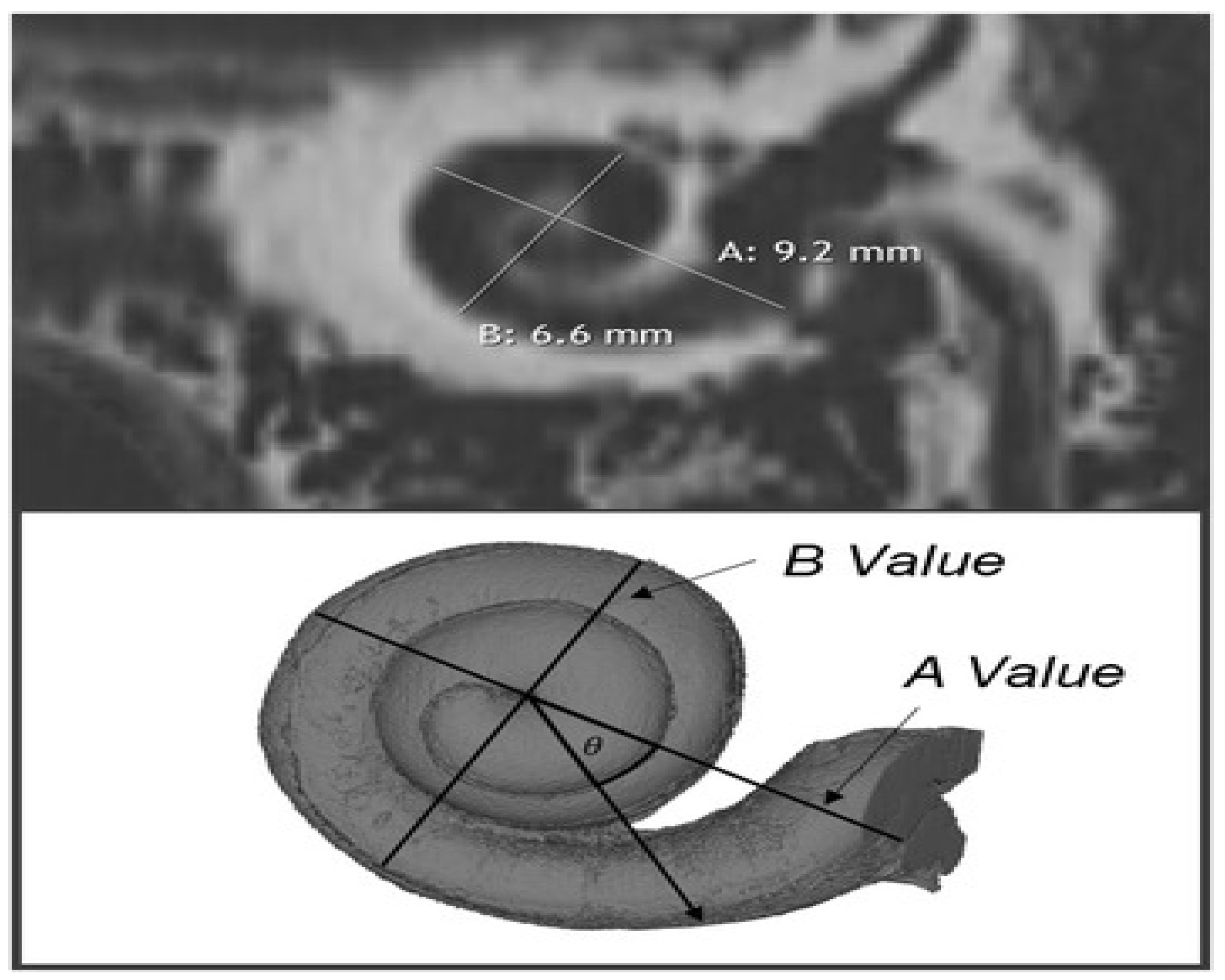 Preprints 87775 g001
