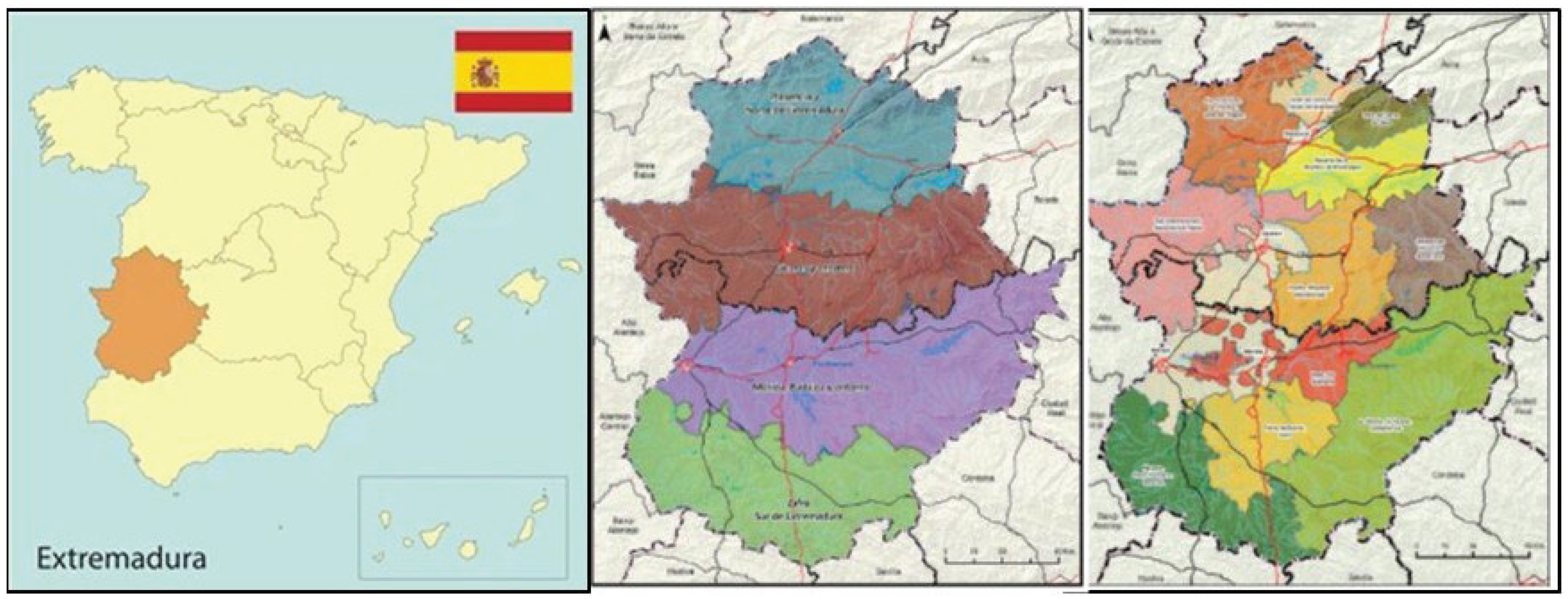 Preprints 198363 g001