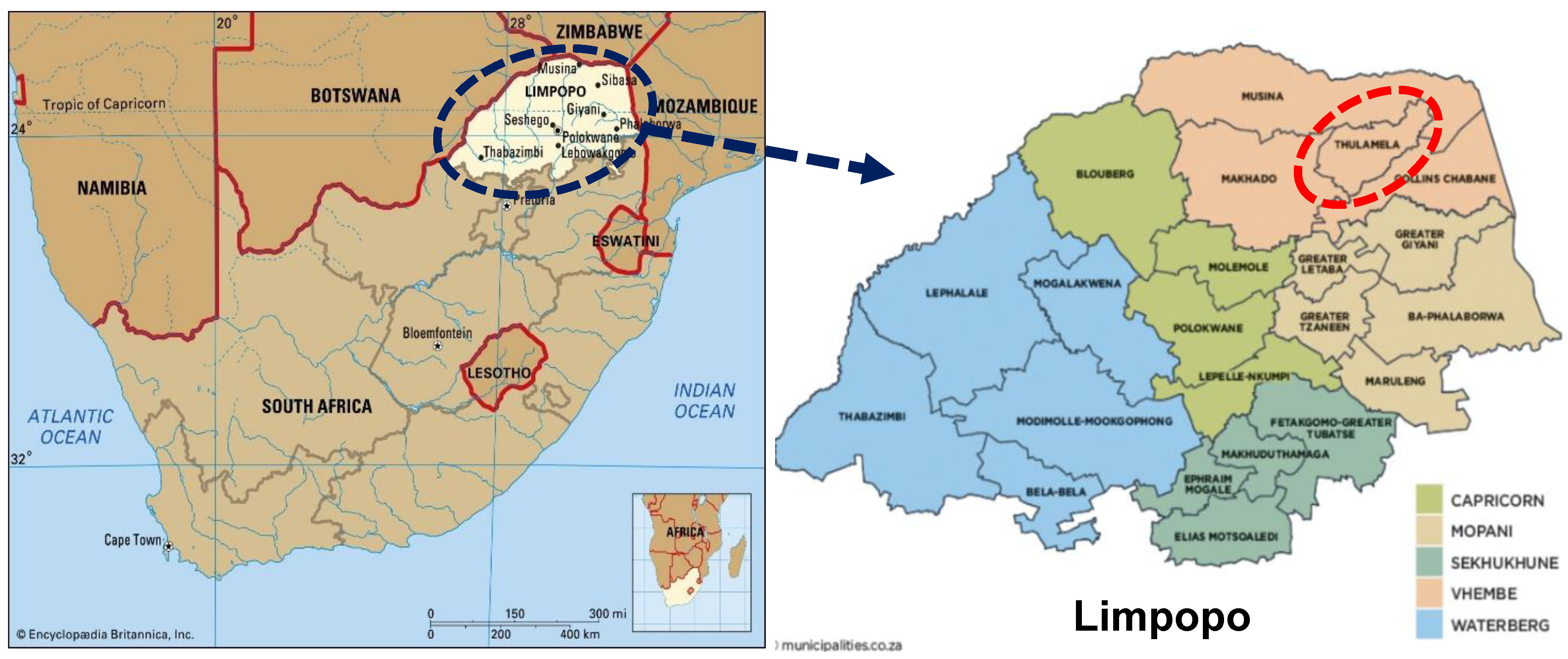 Preprints 143636 g001