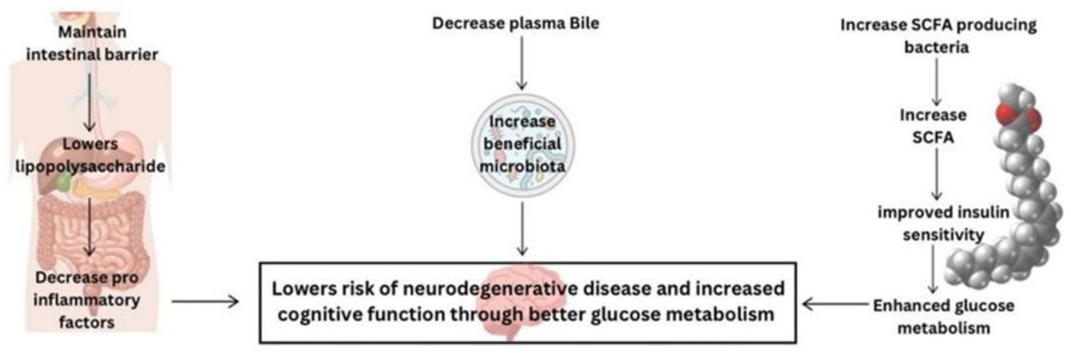 Preprints 178334 g002