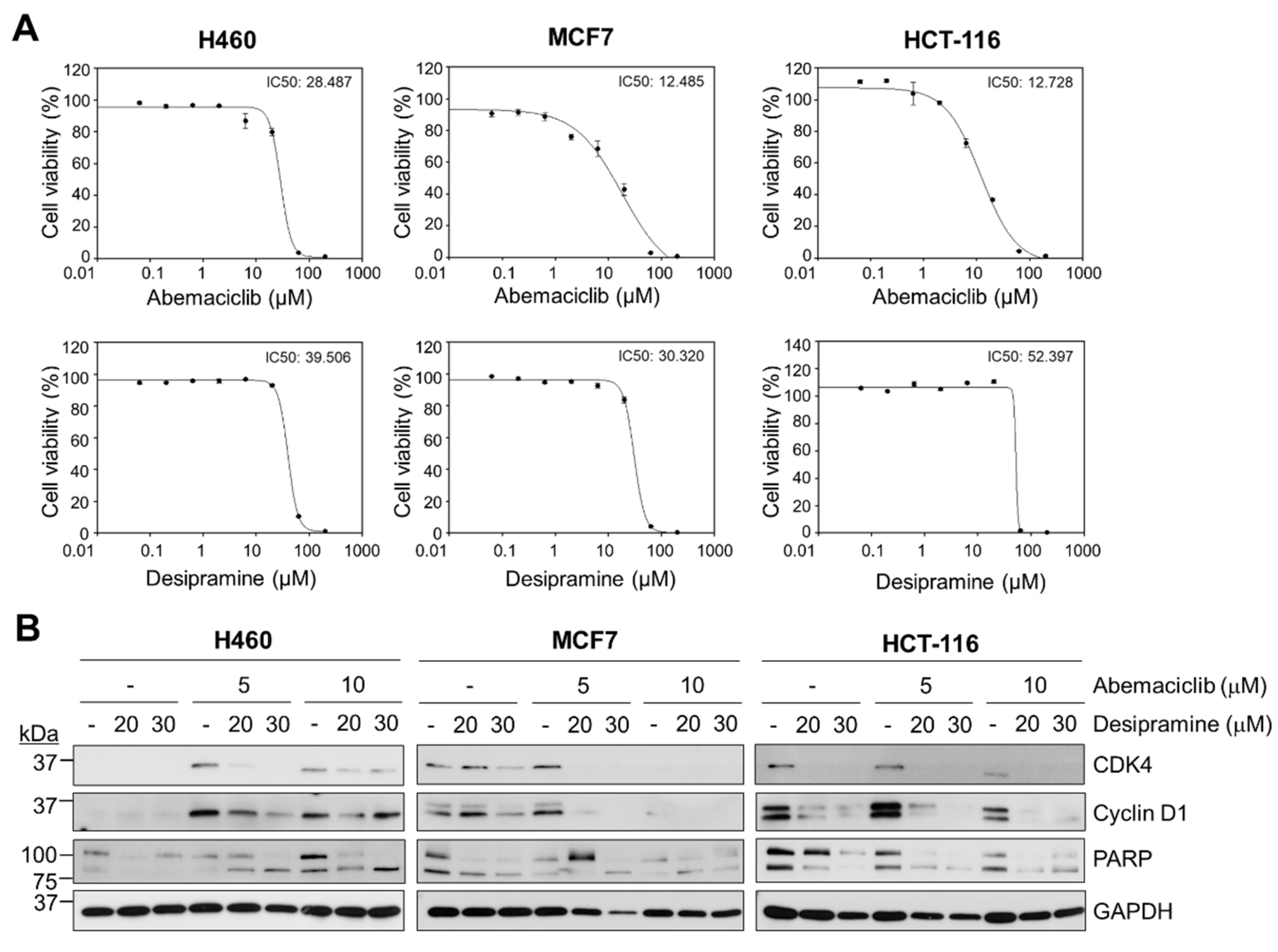 Preprints 108479 g001
