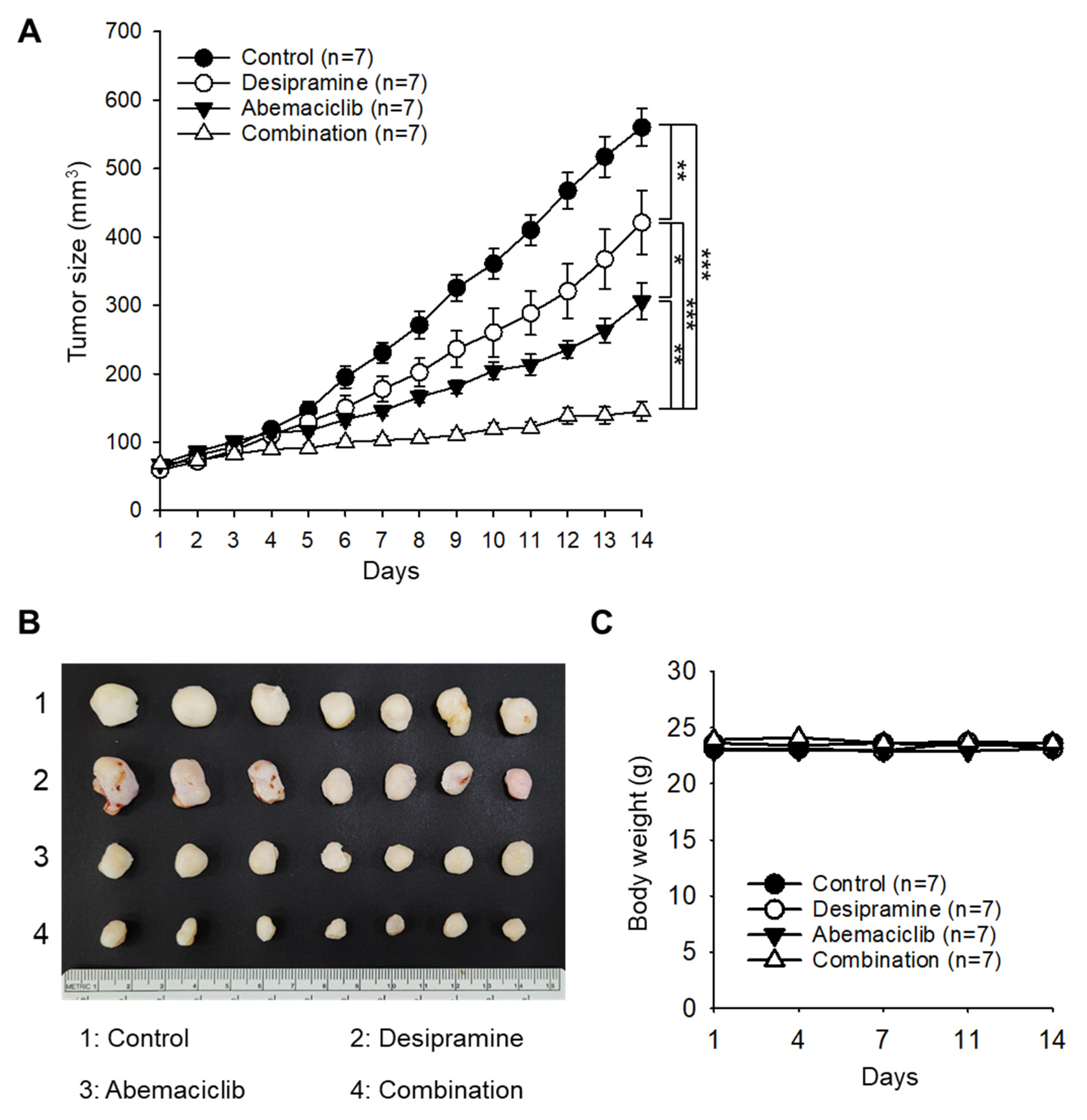Preprints 108479 g003