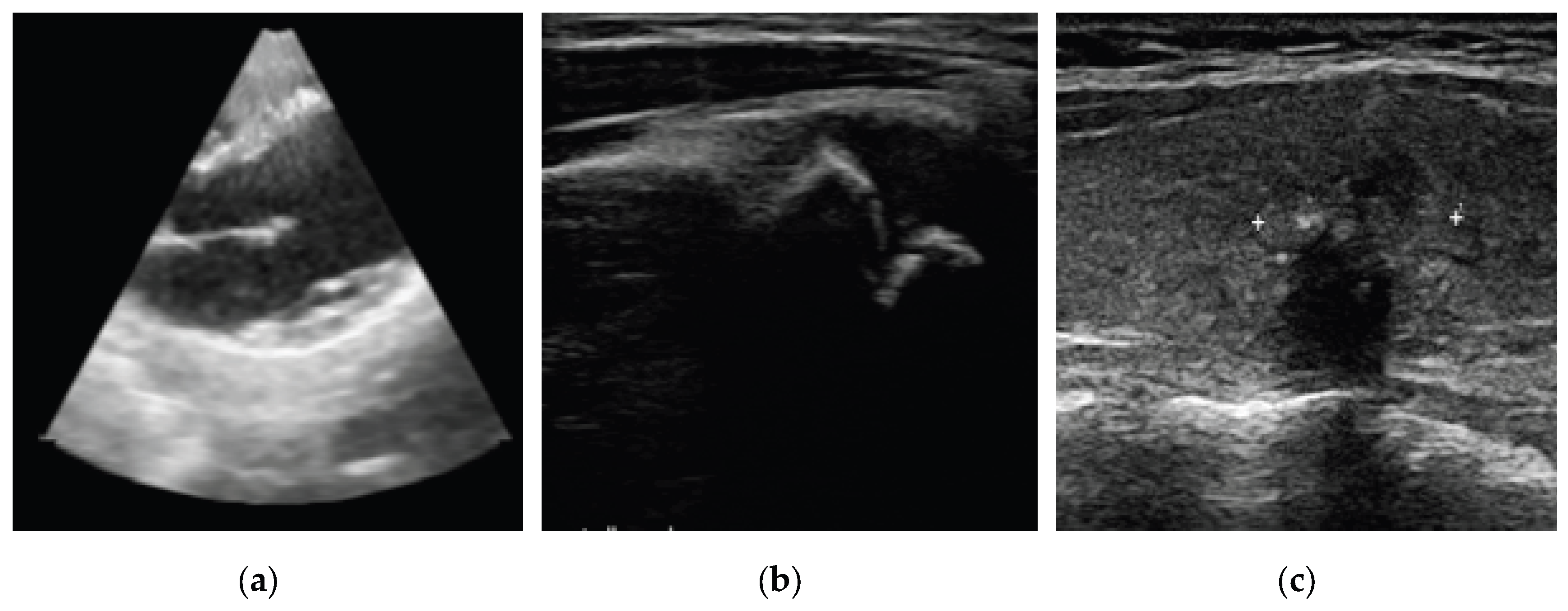 Preprints 206040 g001