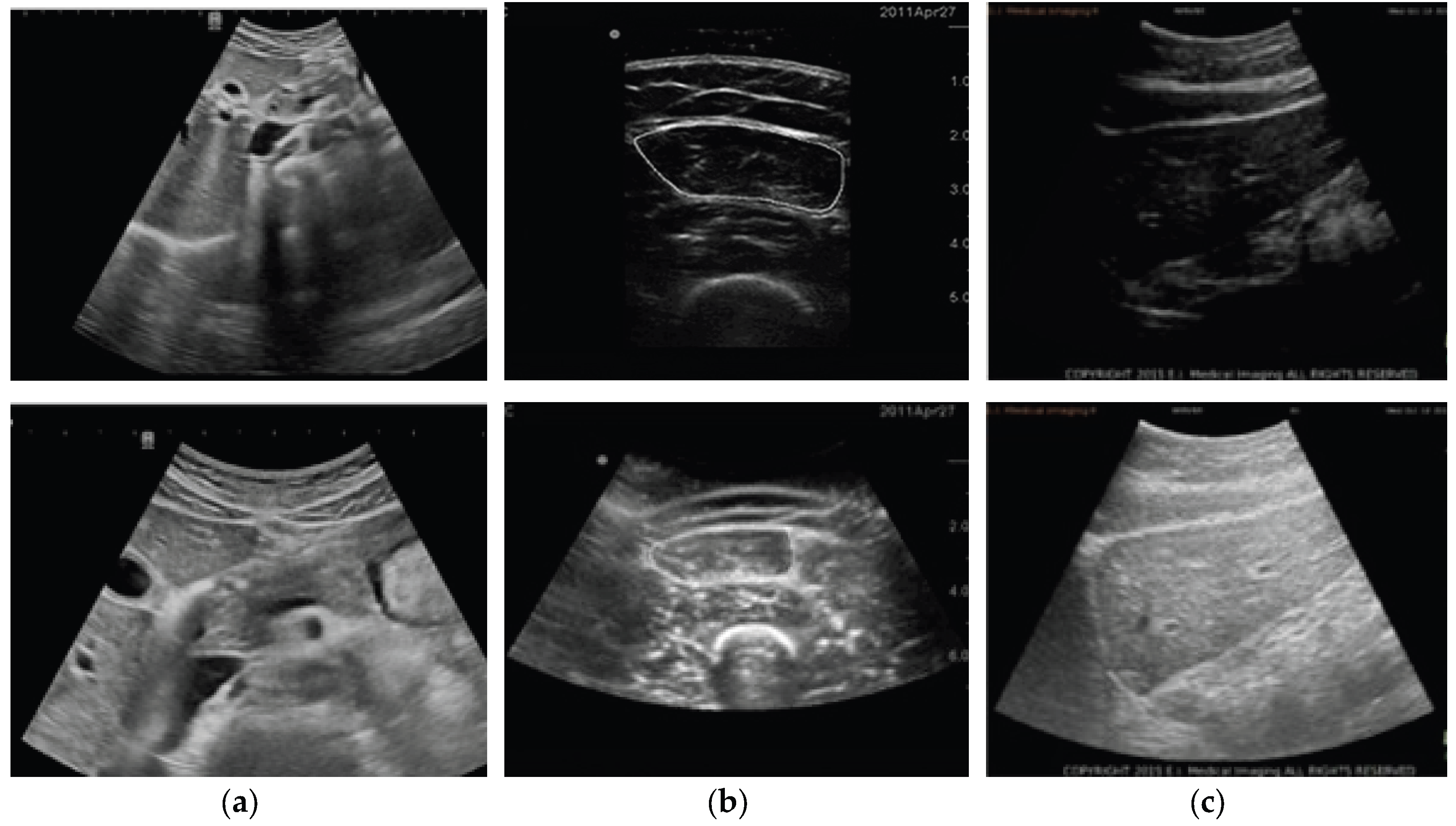 Preprints 206040 g002