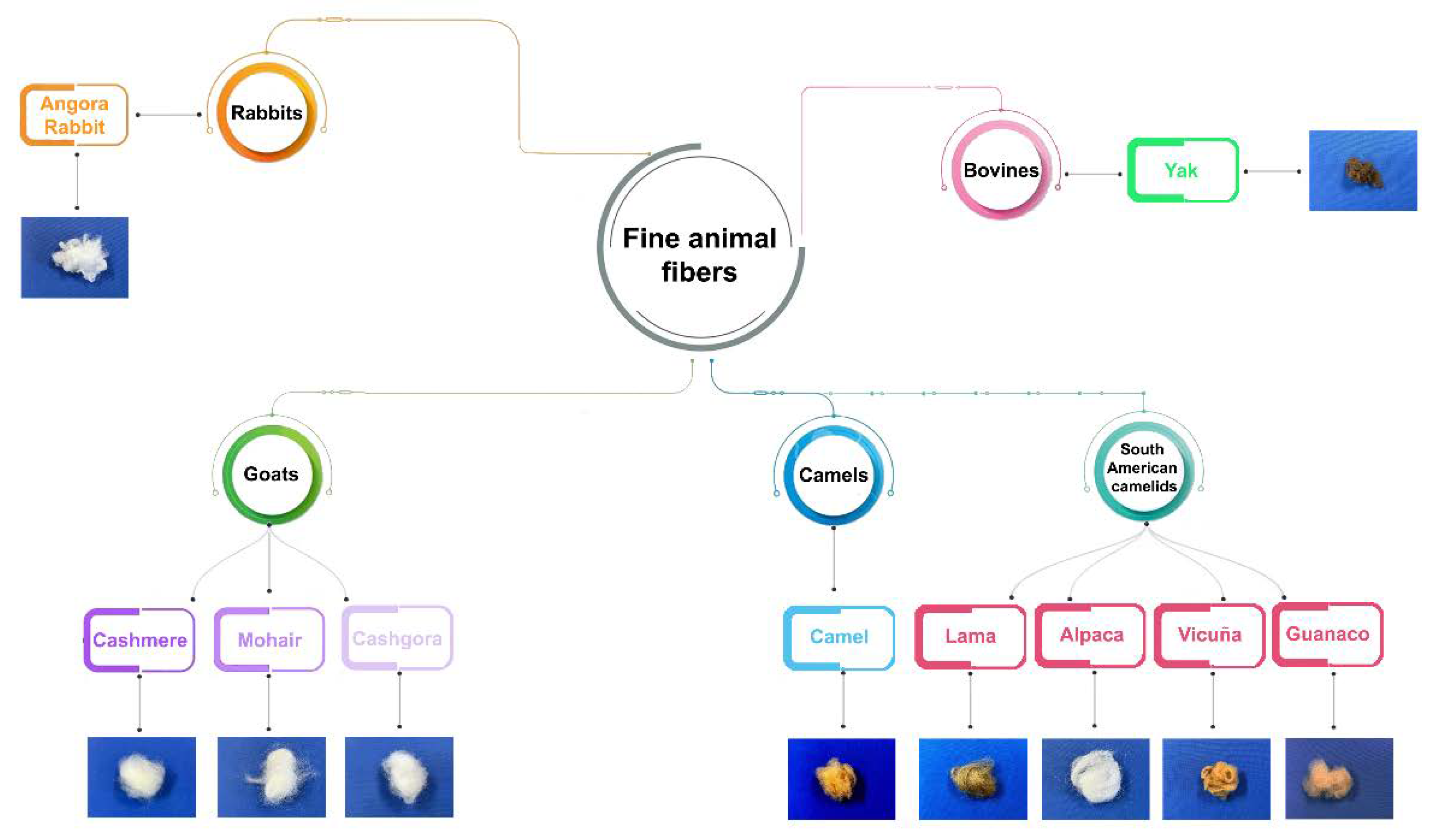Preprints 72951 g001