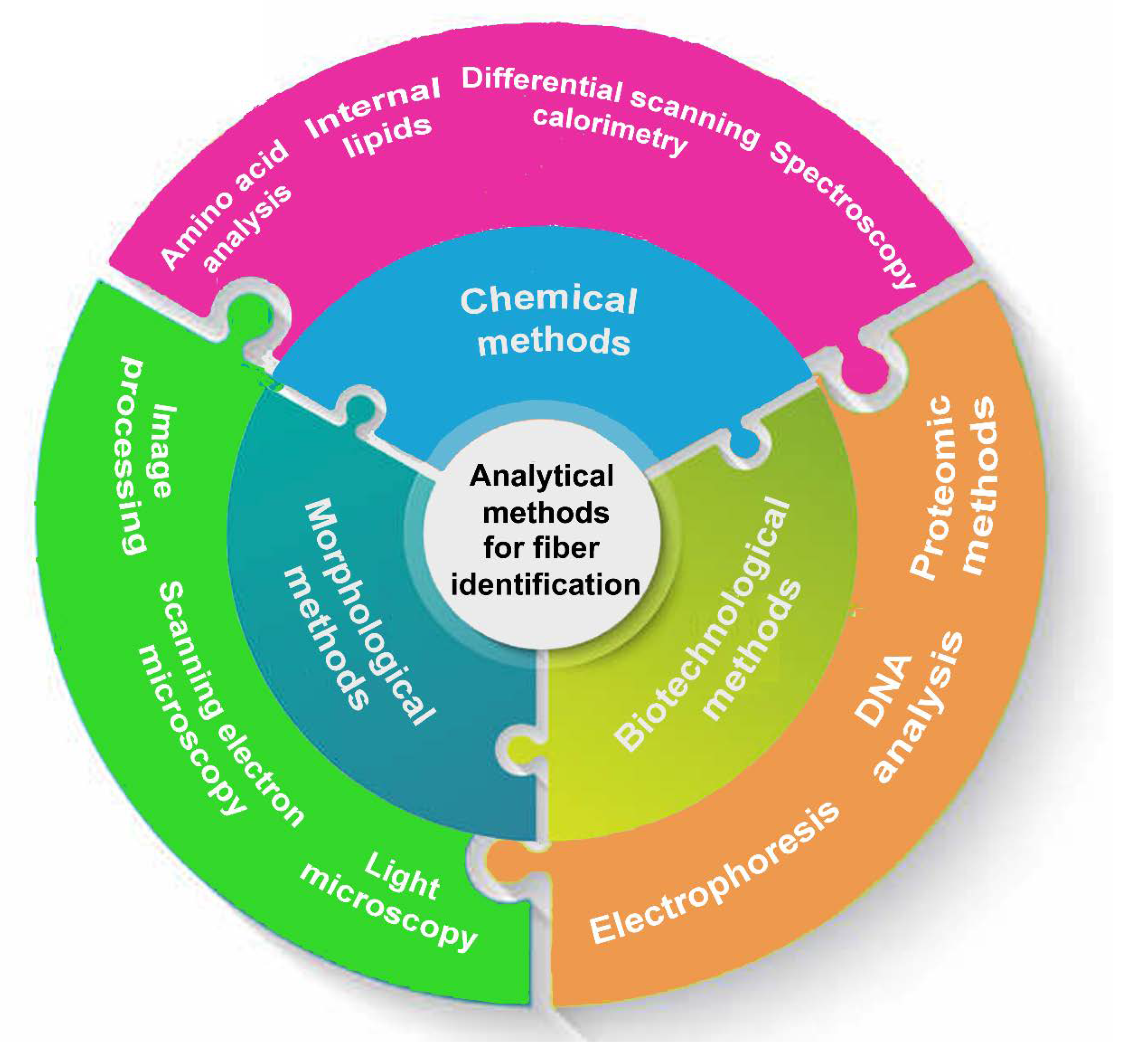 Preprints 72951 g002