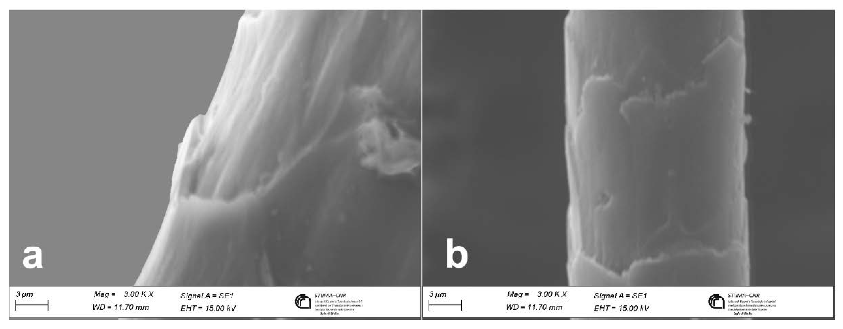 Preprints 72951 g003