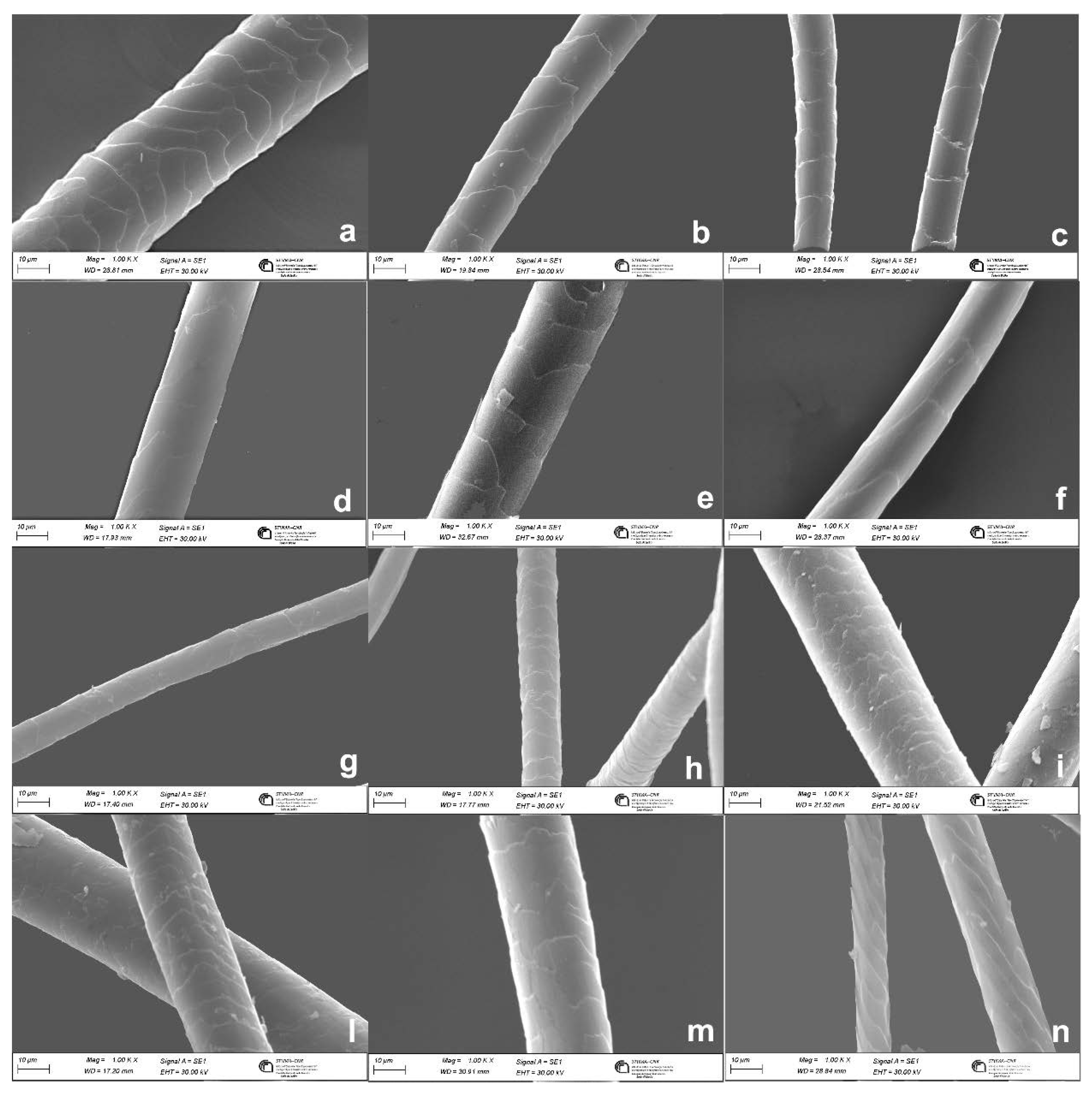 Preprints 72951 g005