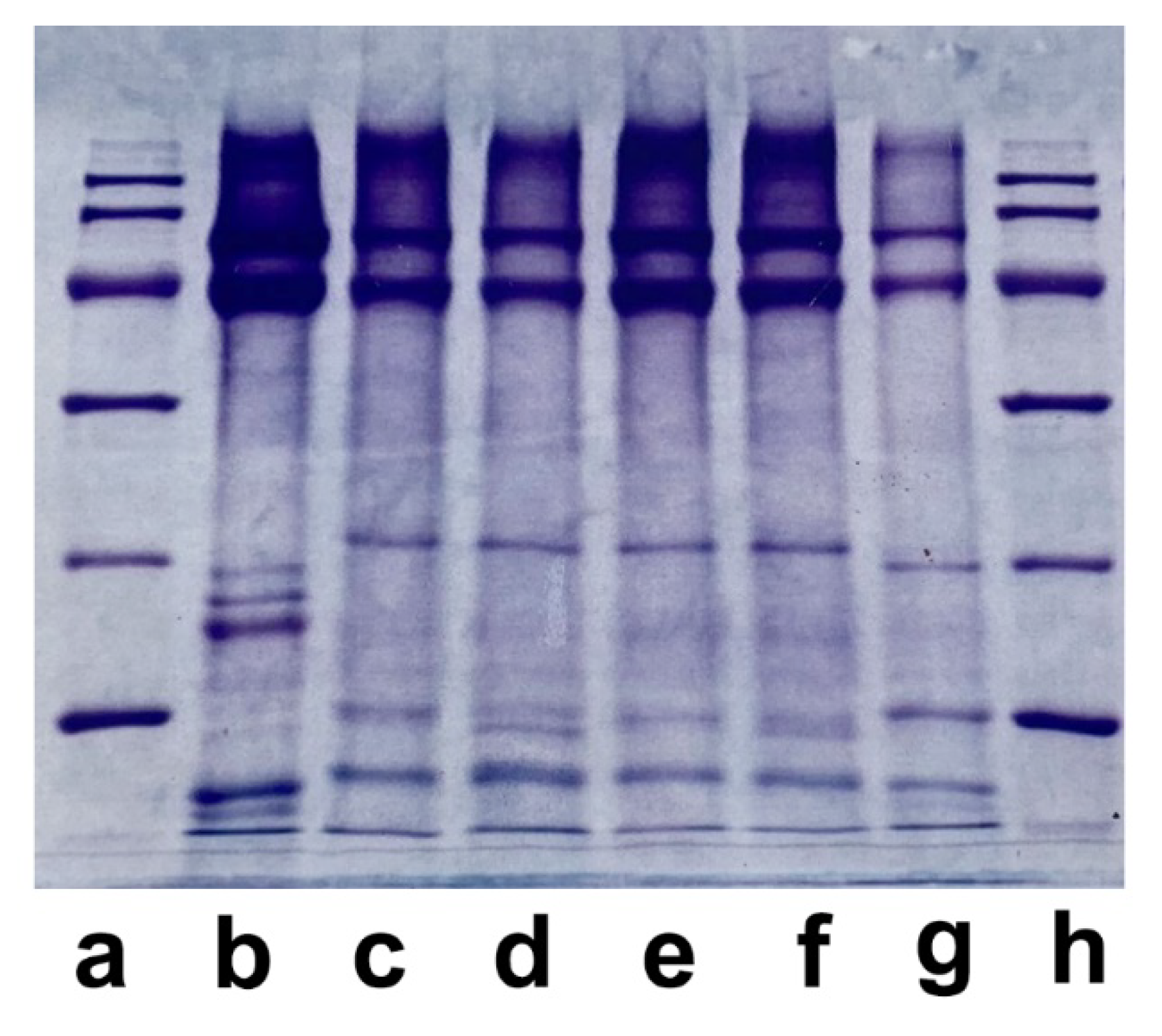 Preprints 72951 g008