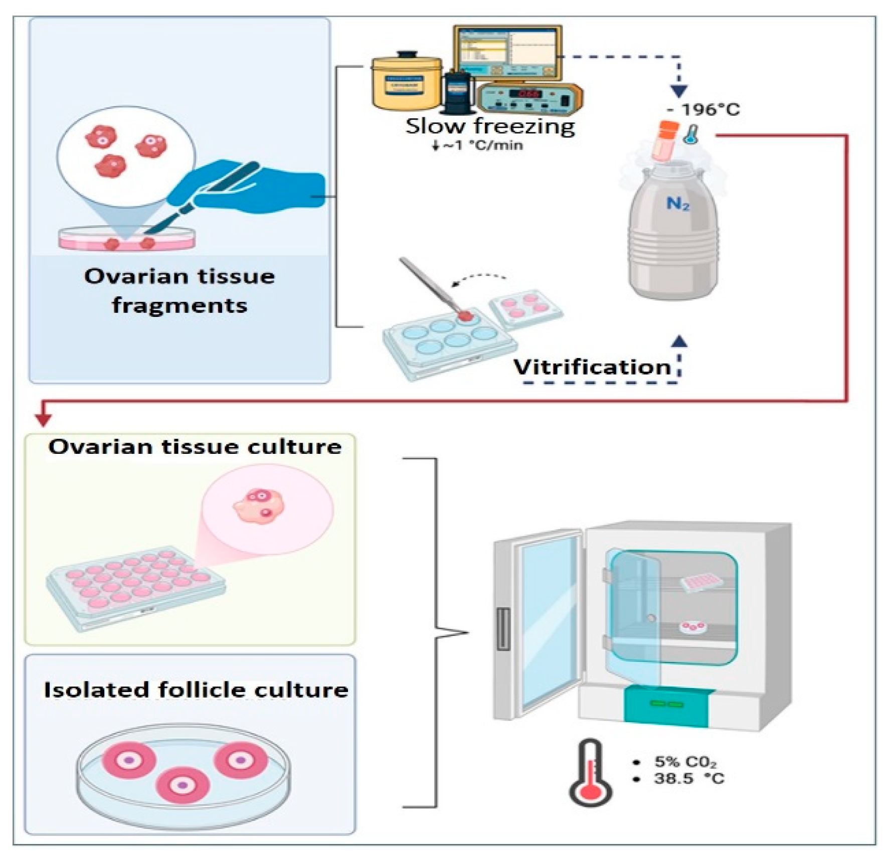 Preprints 196707 g001