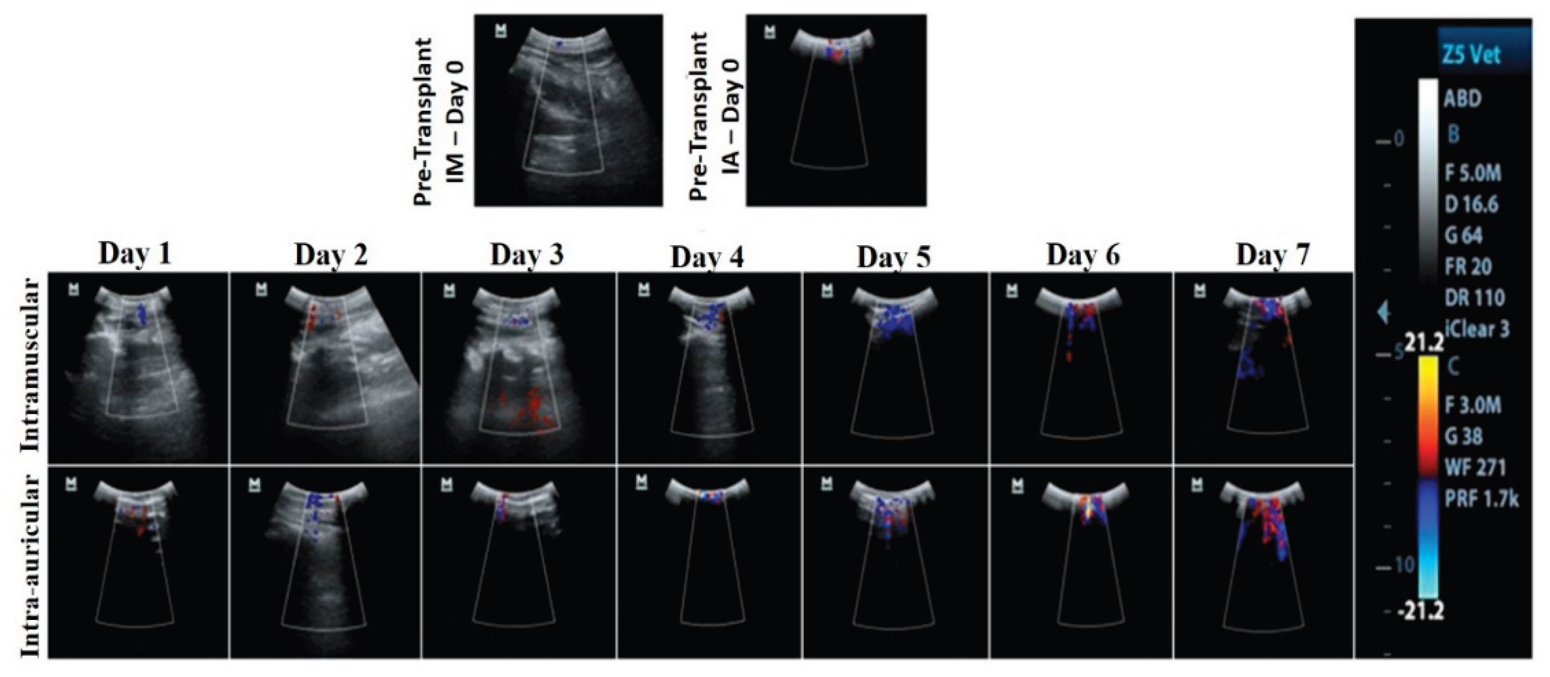 Preprints 196707 g002
