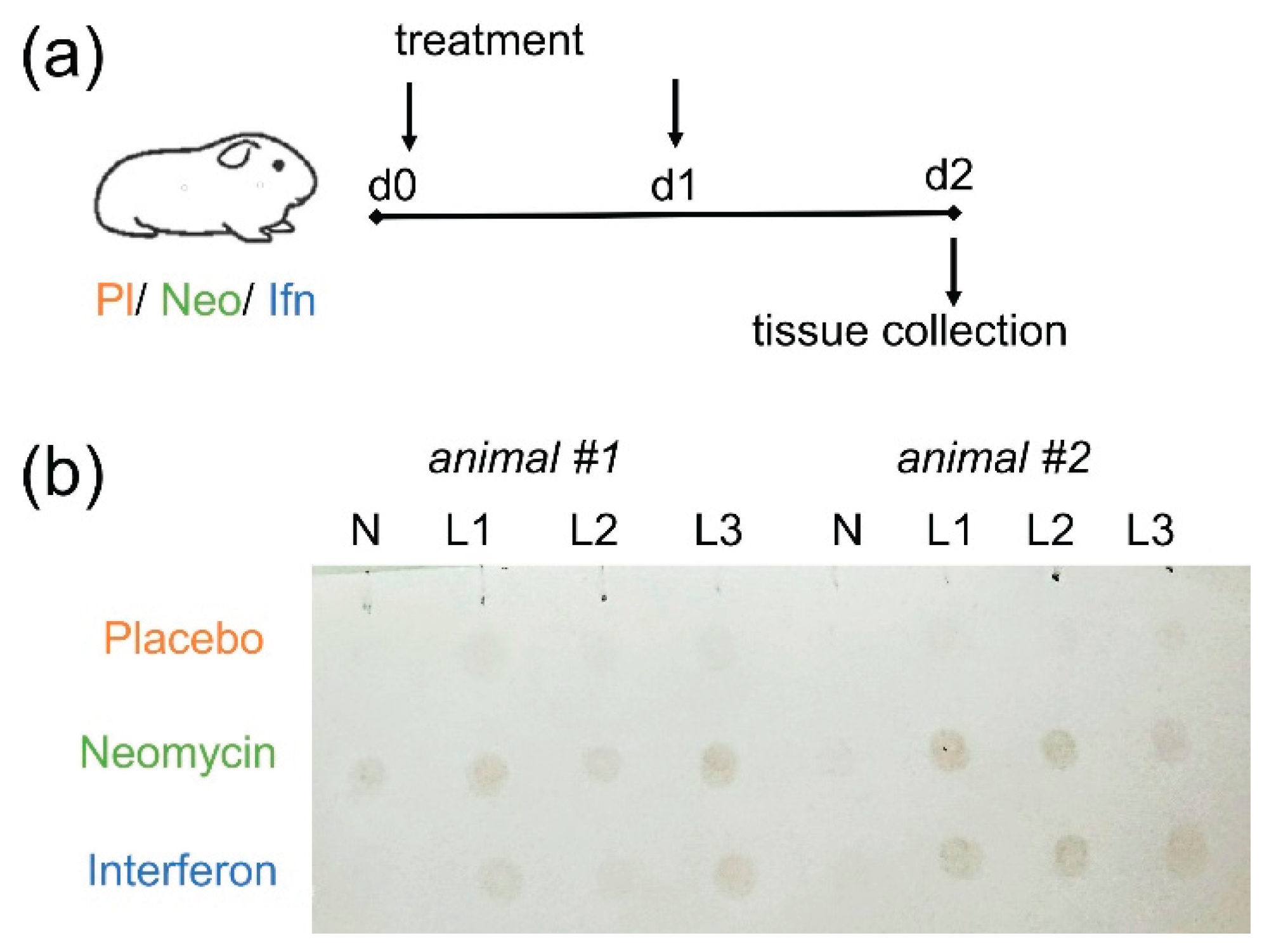 Preprints 193469 g001