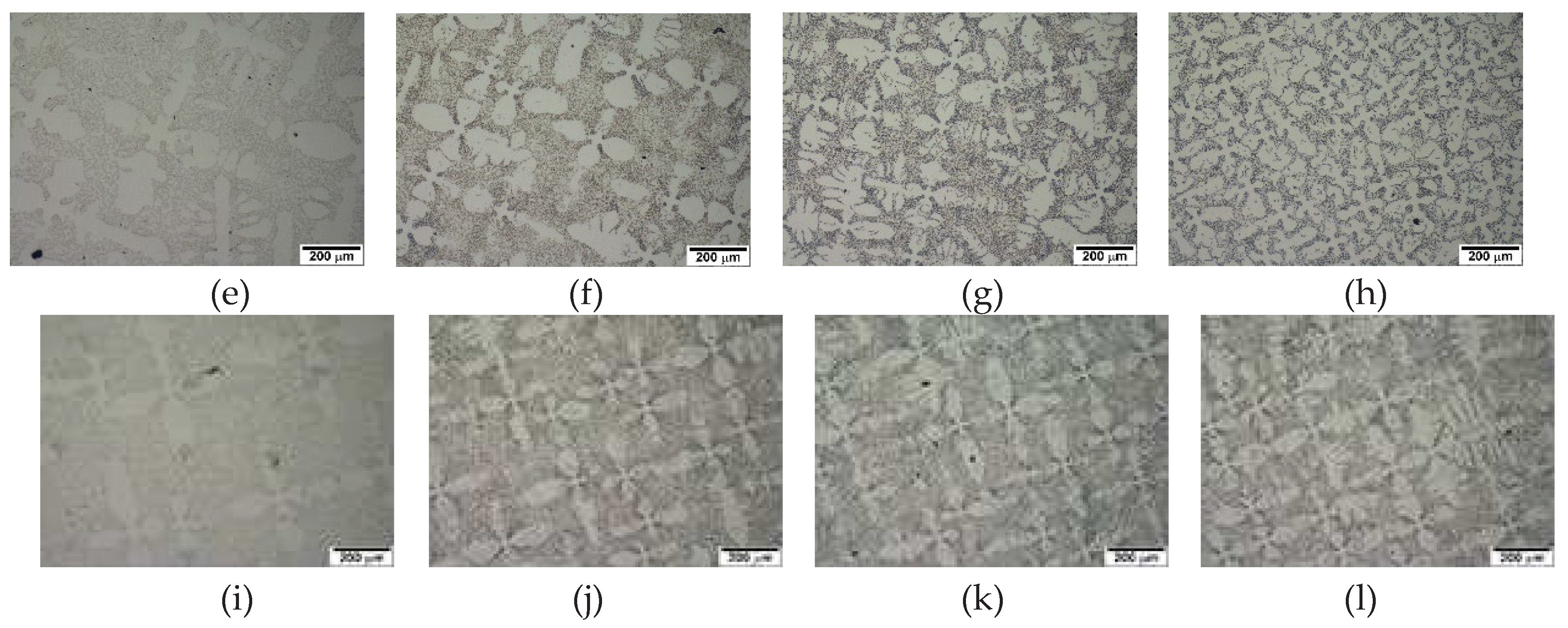 Preprints 97887 g004b