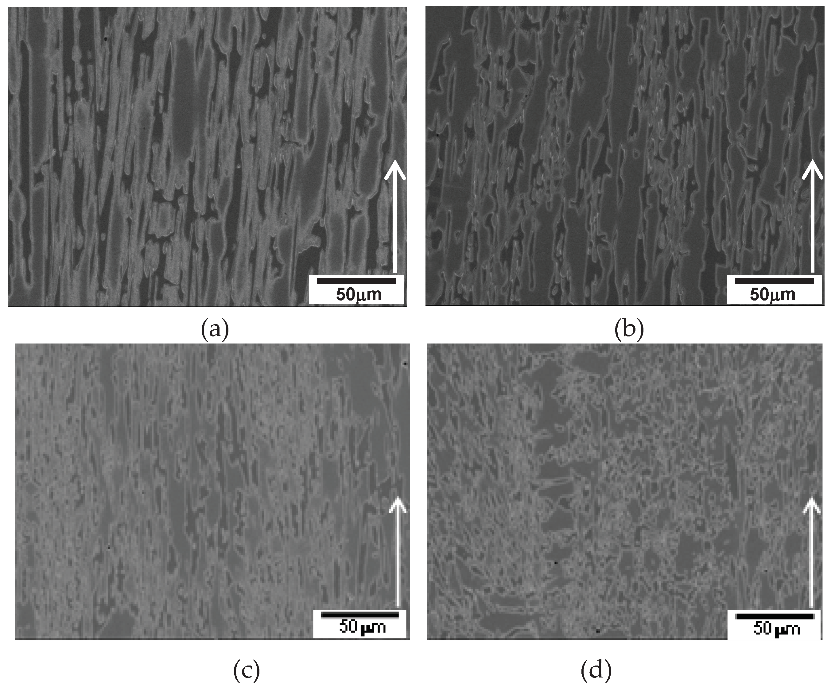 Preprints 97887 g006
