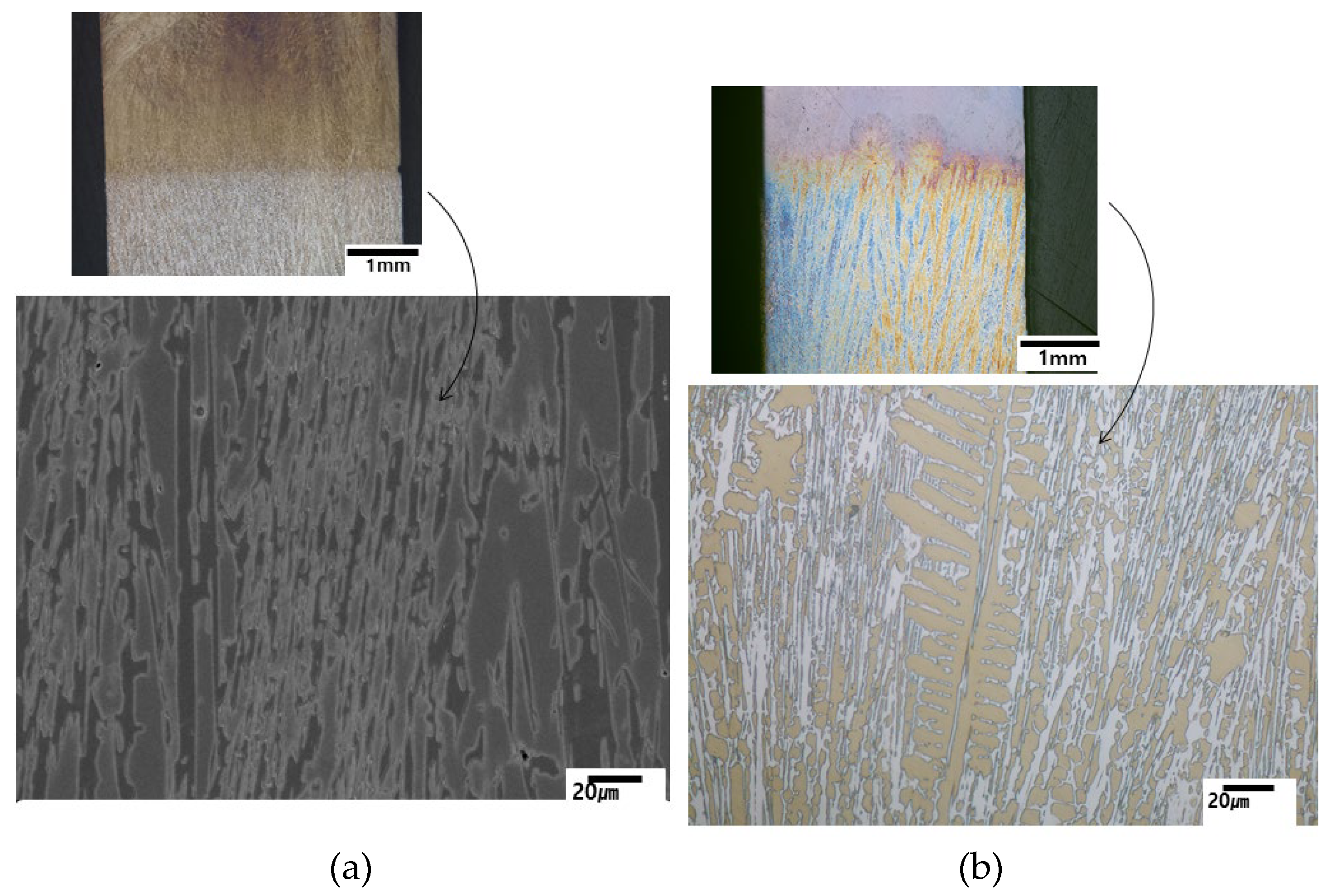 Preprints 97887 g008