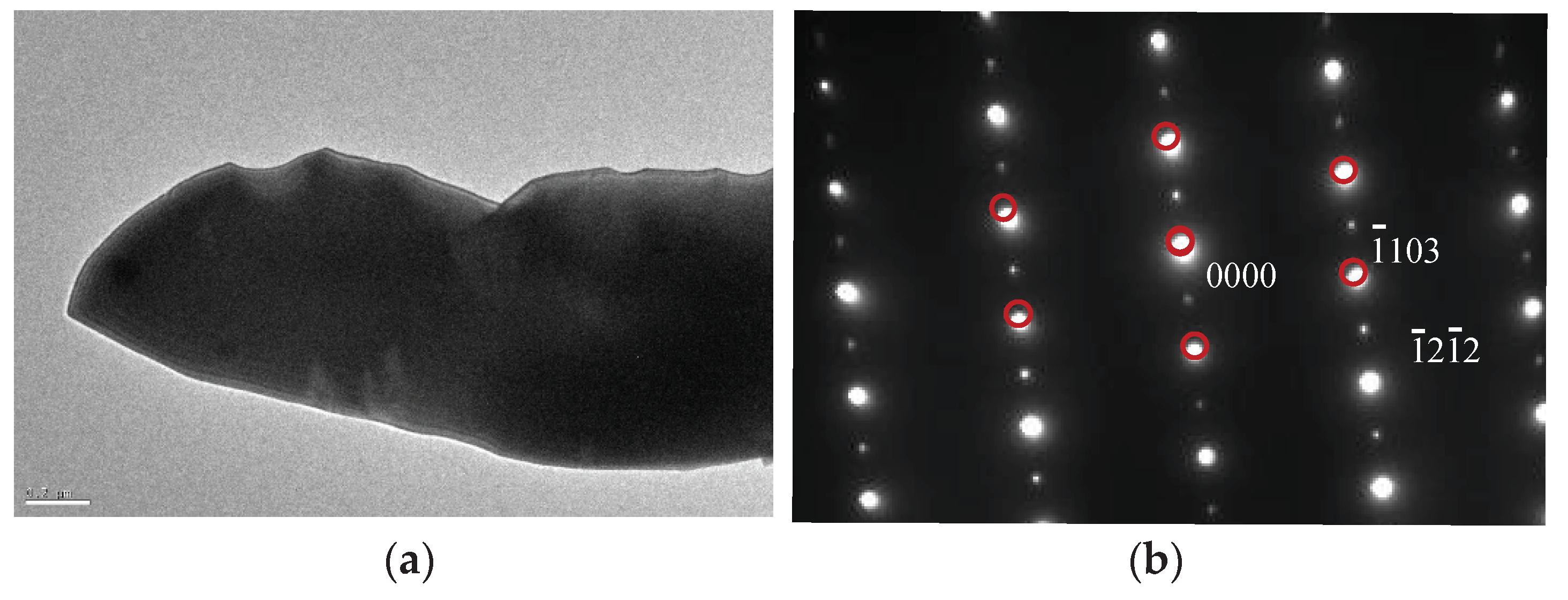 Preprints 97887 g010