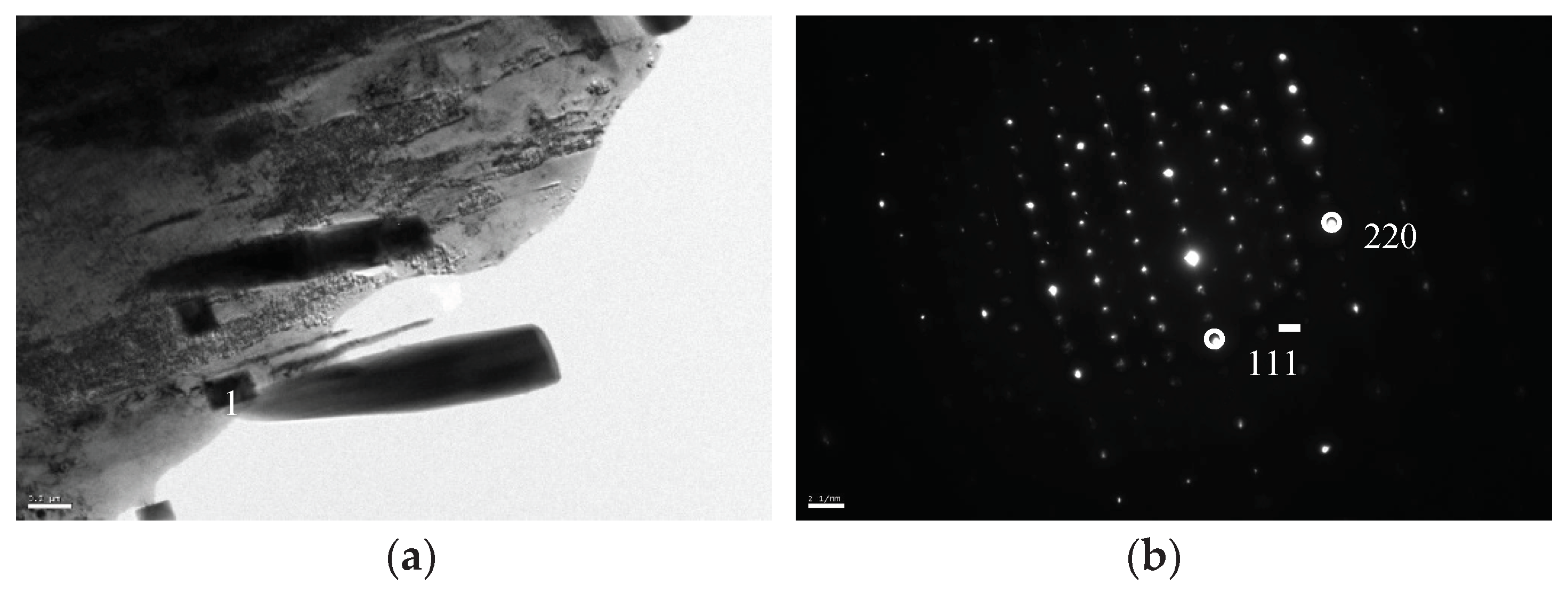 Preprints 97887 g011