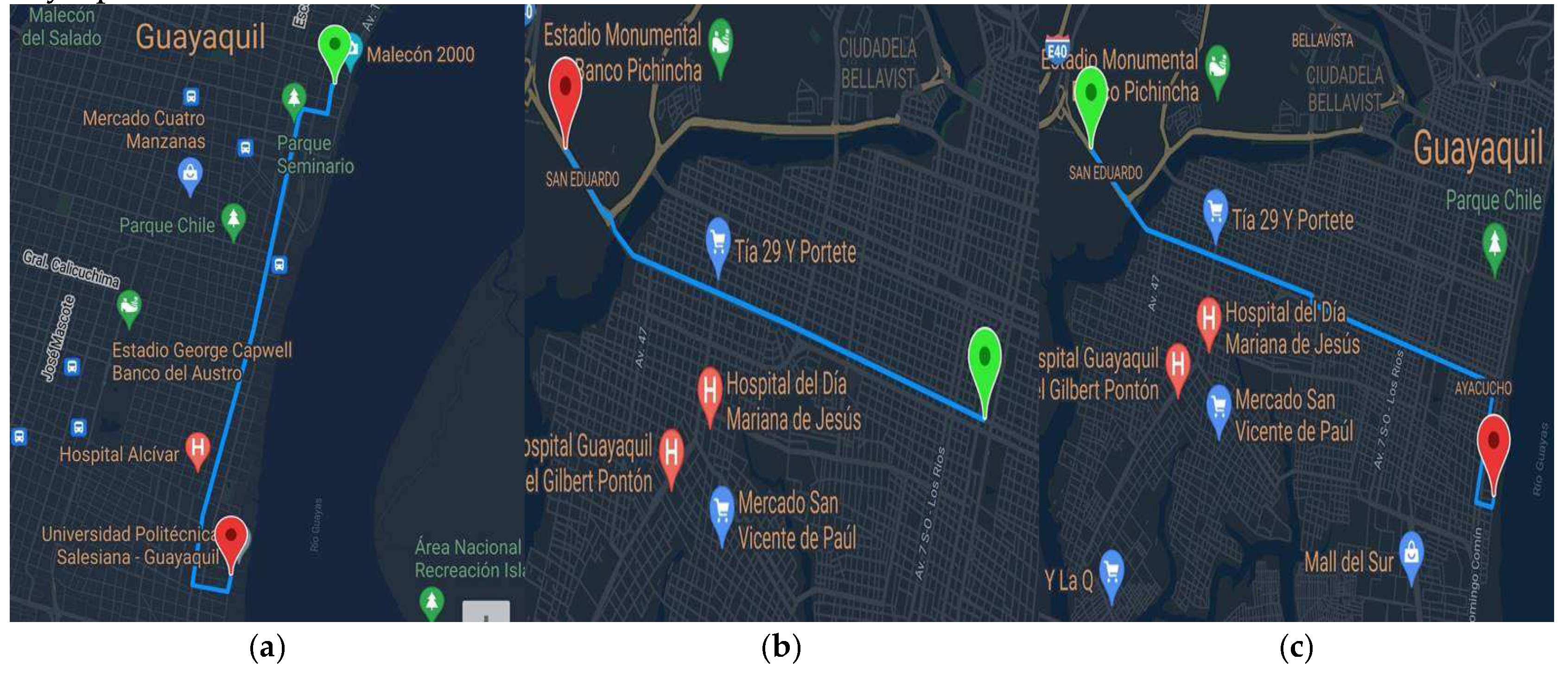 Preprints 147887 g002