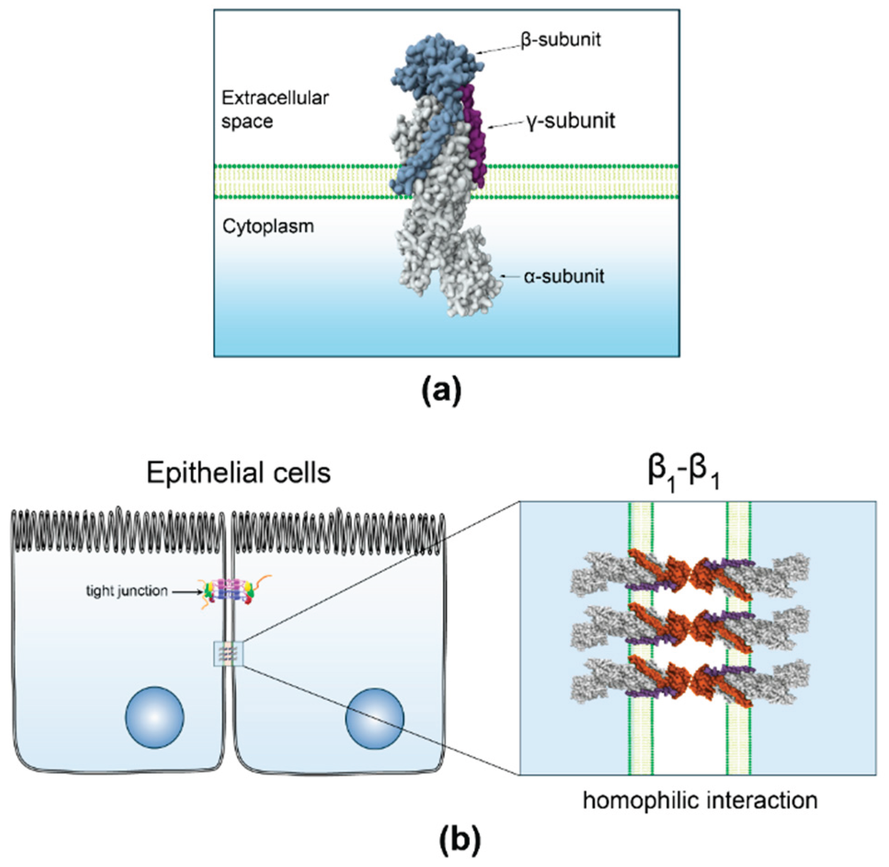 Preprints 170525 g001