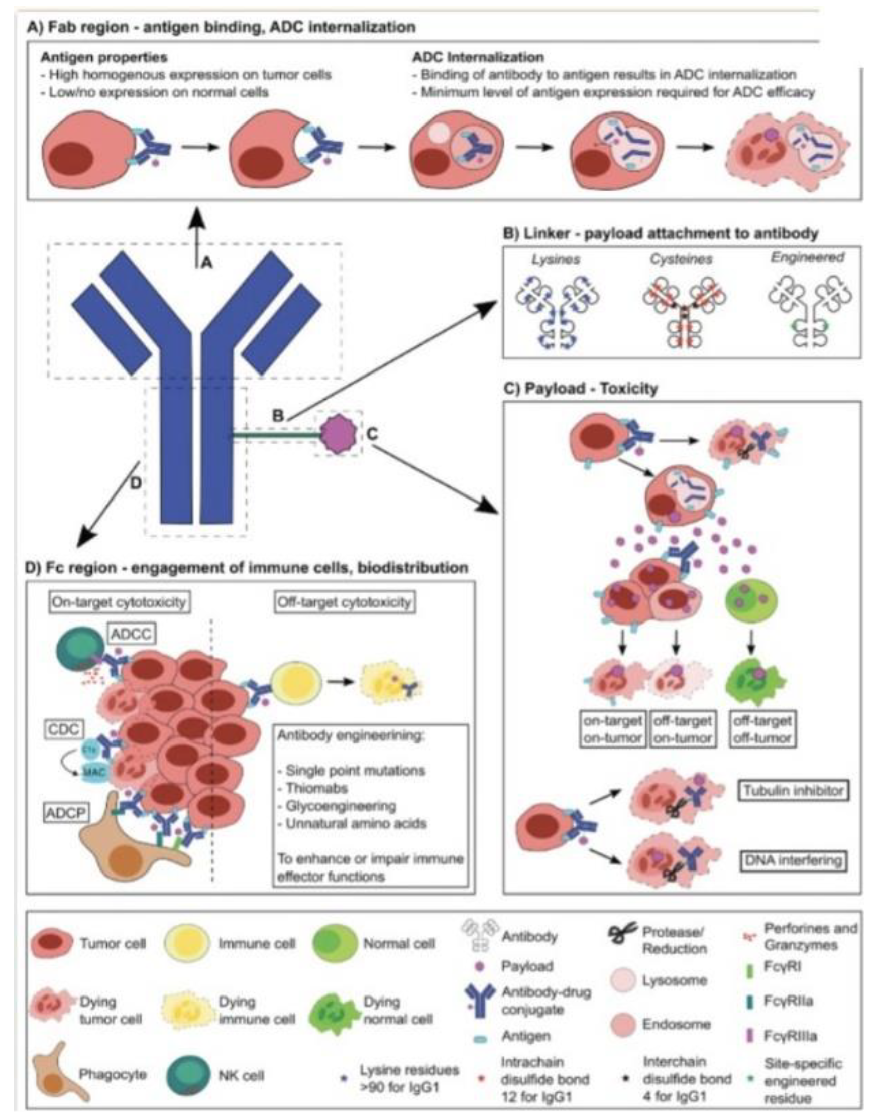 Preprints 103370 g001