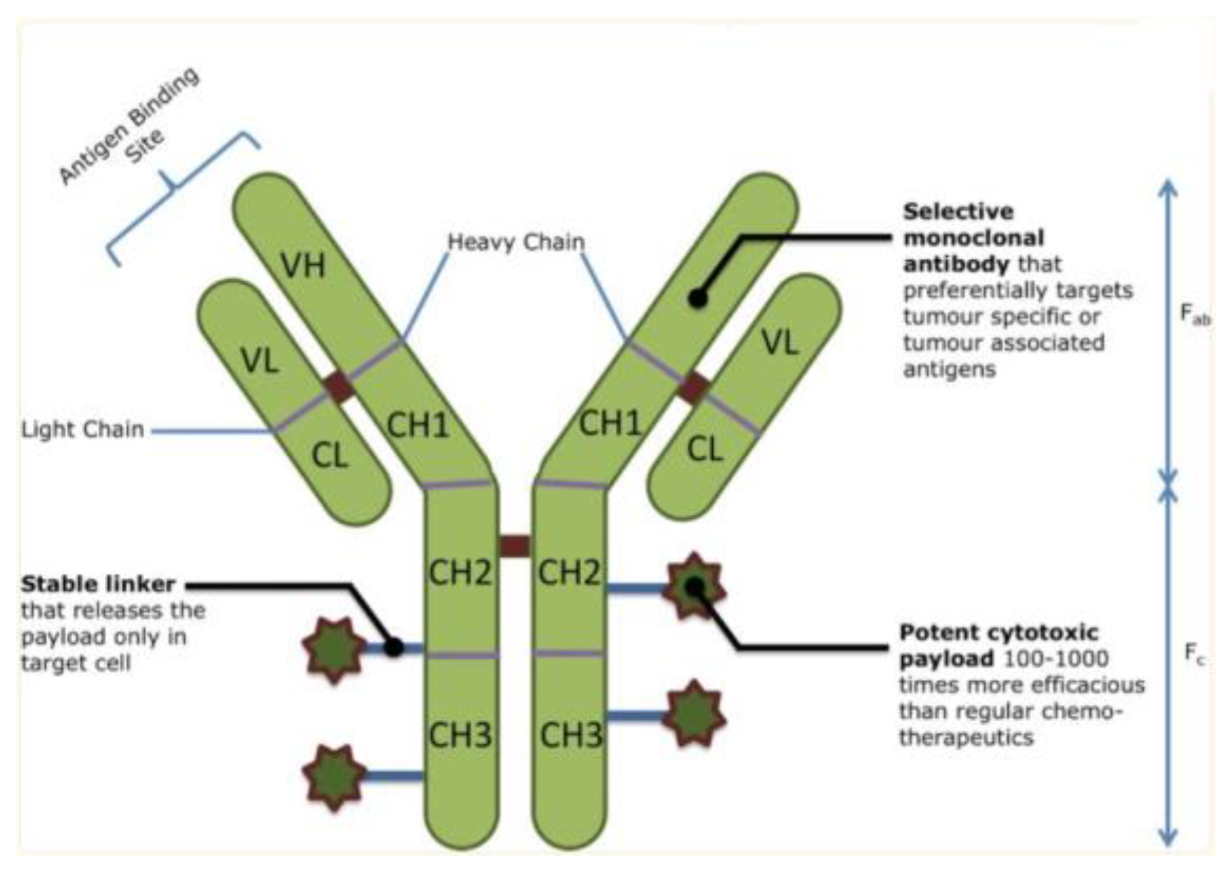 Preprints 103370 g002