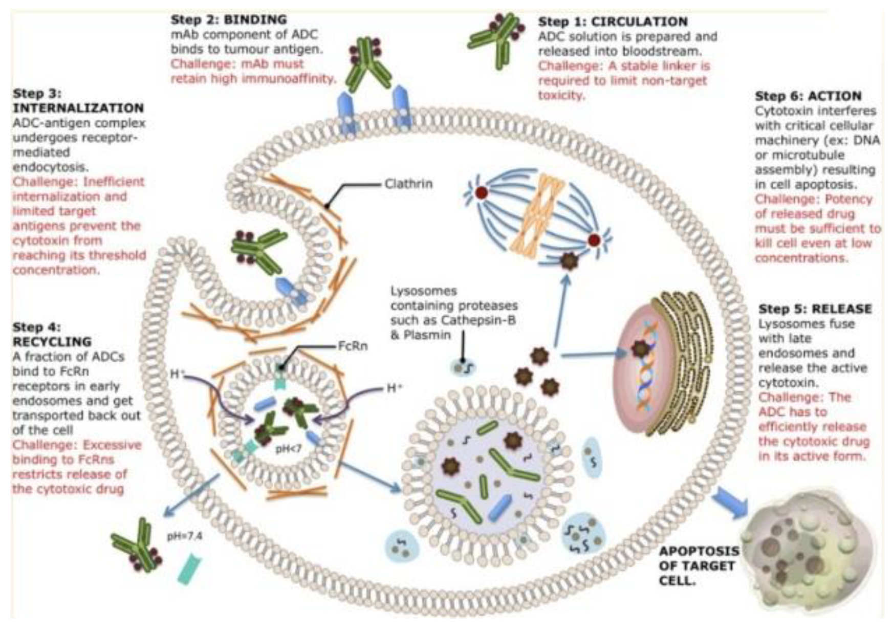 Preprints 103370 g004