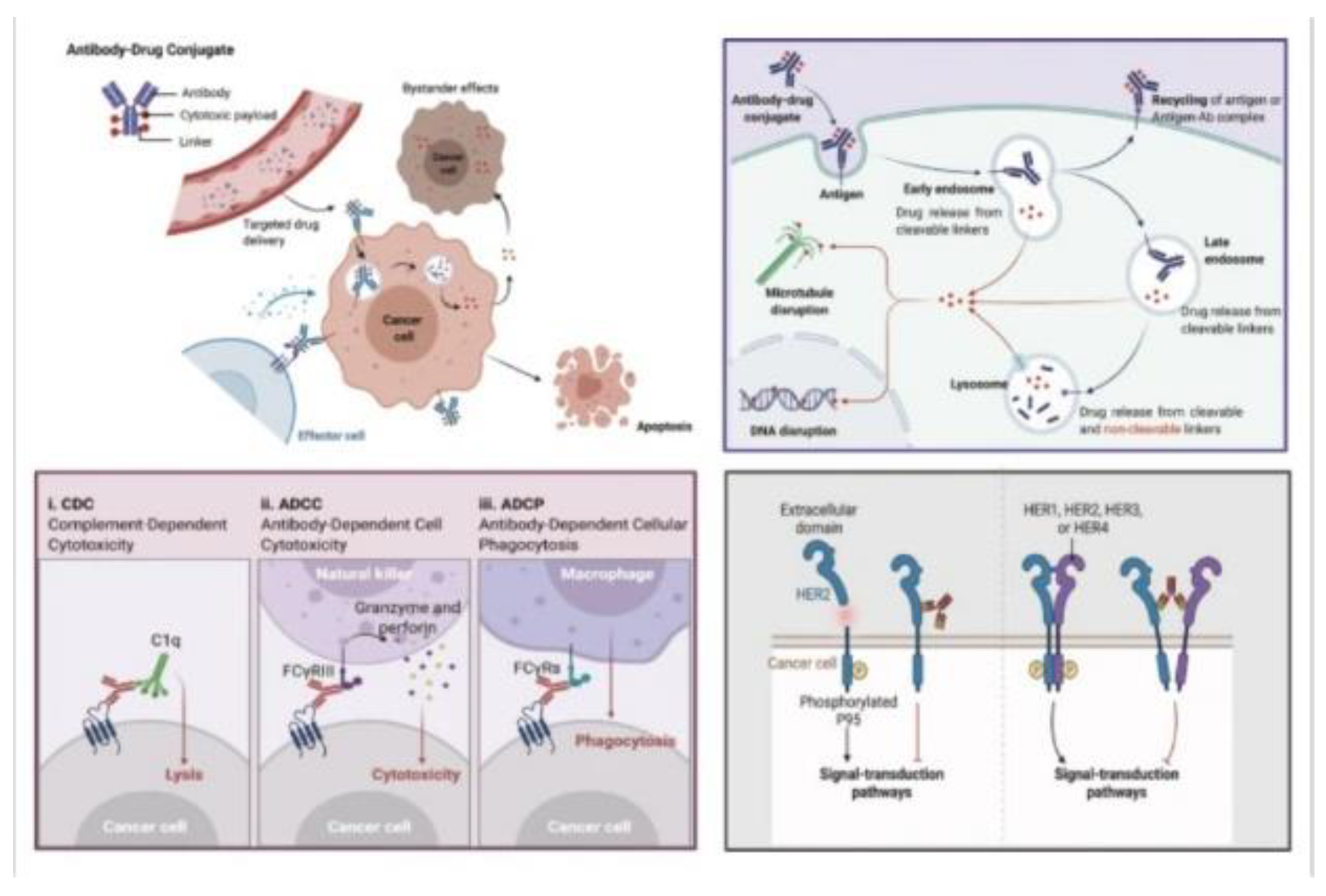 Preprints 103370 g006