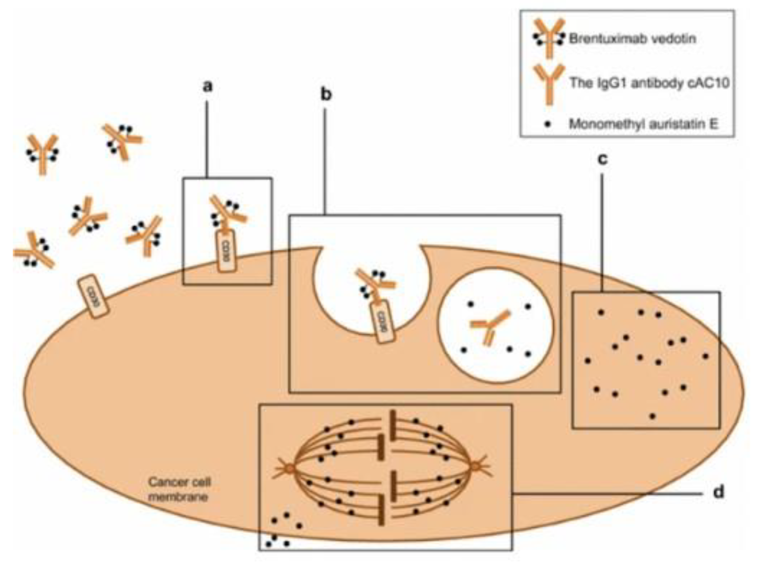 Preprints 103370 g007