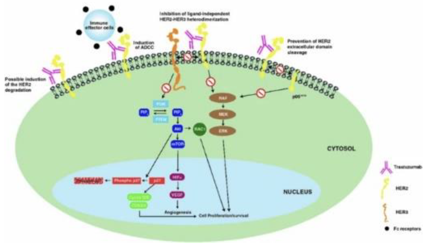 Preprints 103370 g008