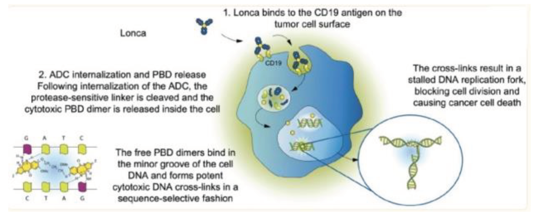 Preprints 103370 g010