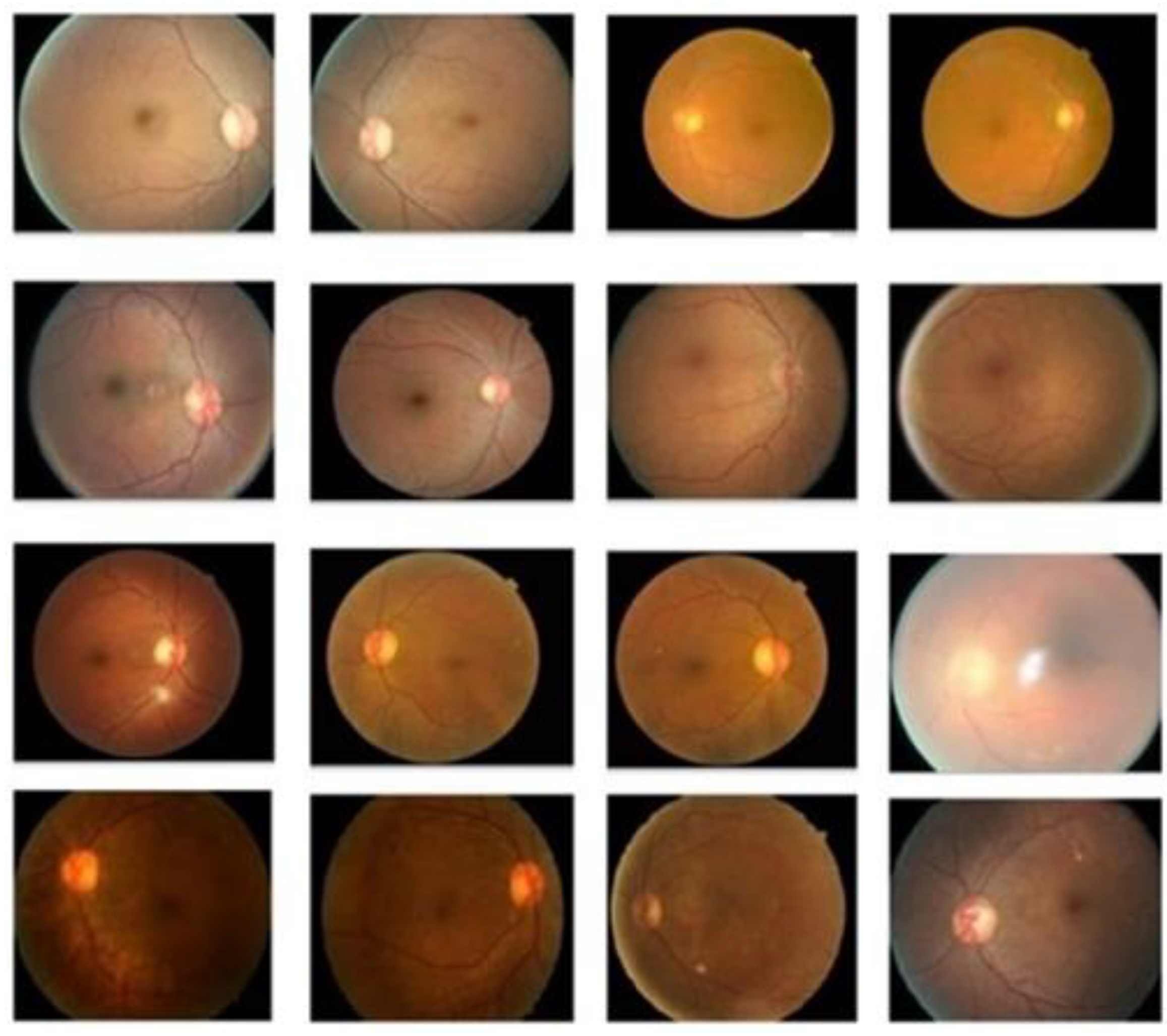 Preprints 192811 g002