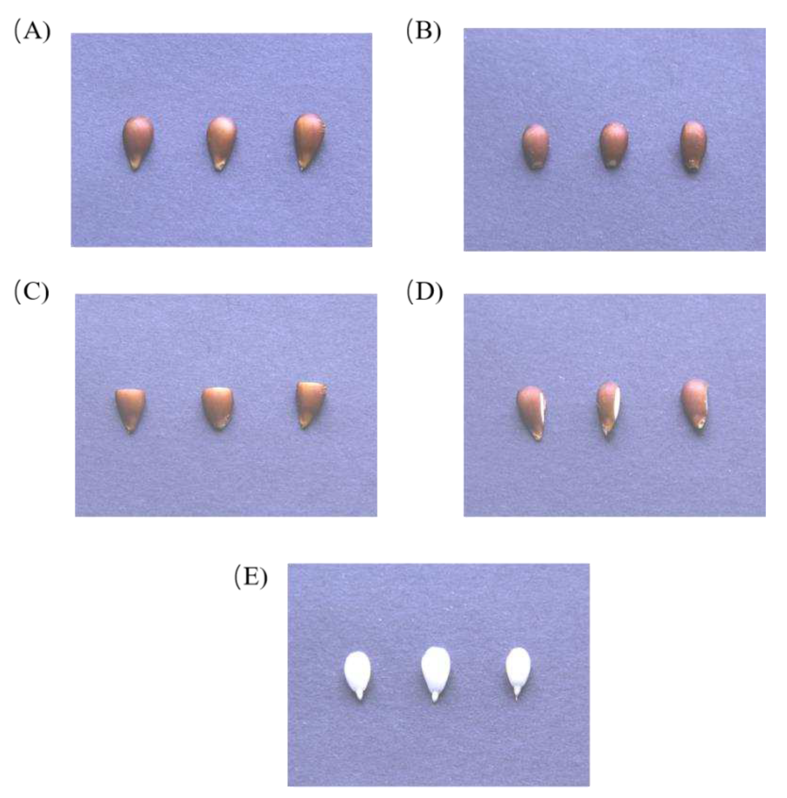 Preprints 88089 g001
